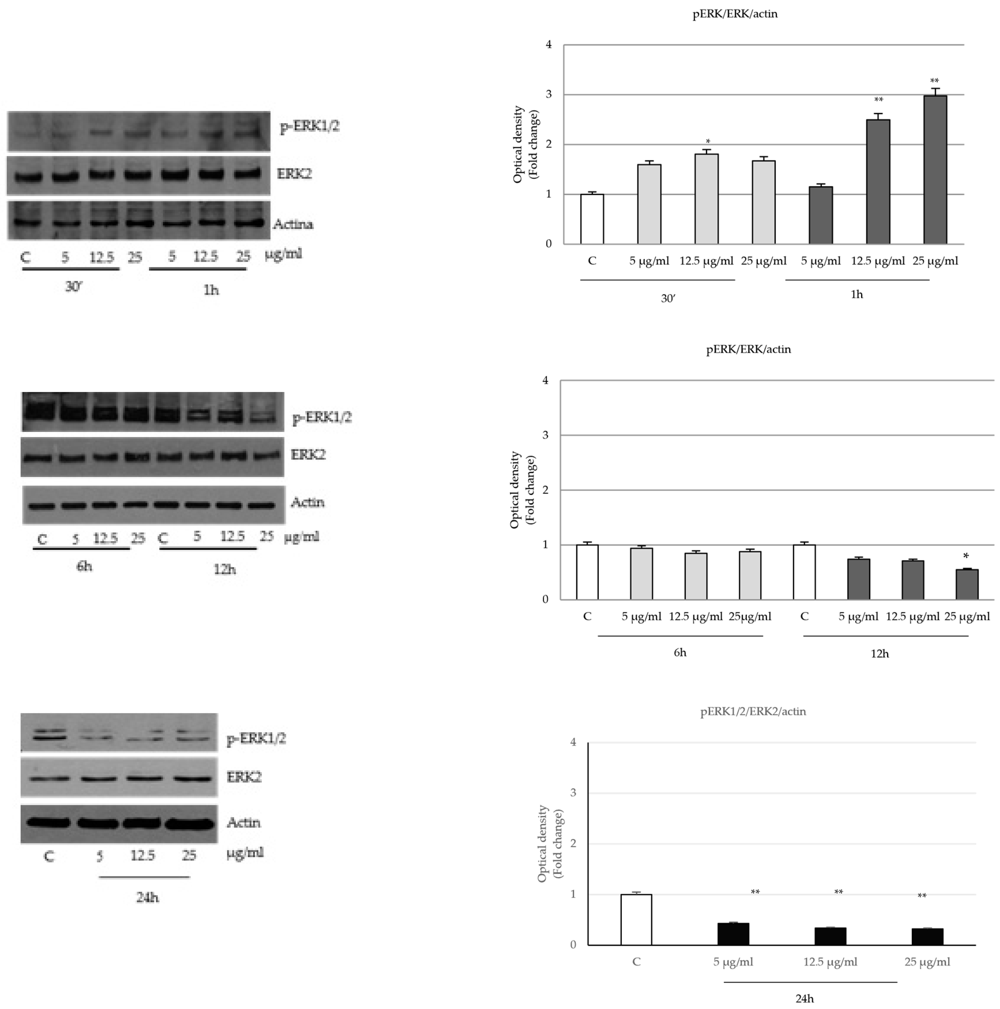 Ijms 24 16351 g006 Ijms 24 16351 g006