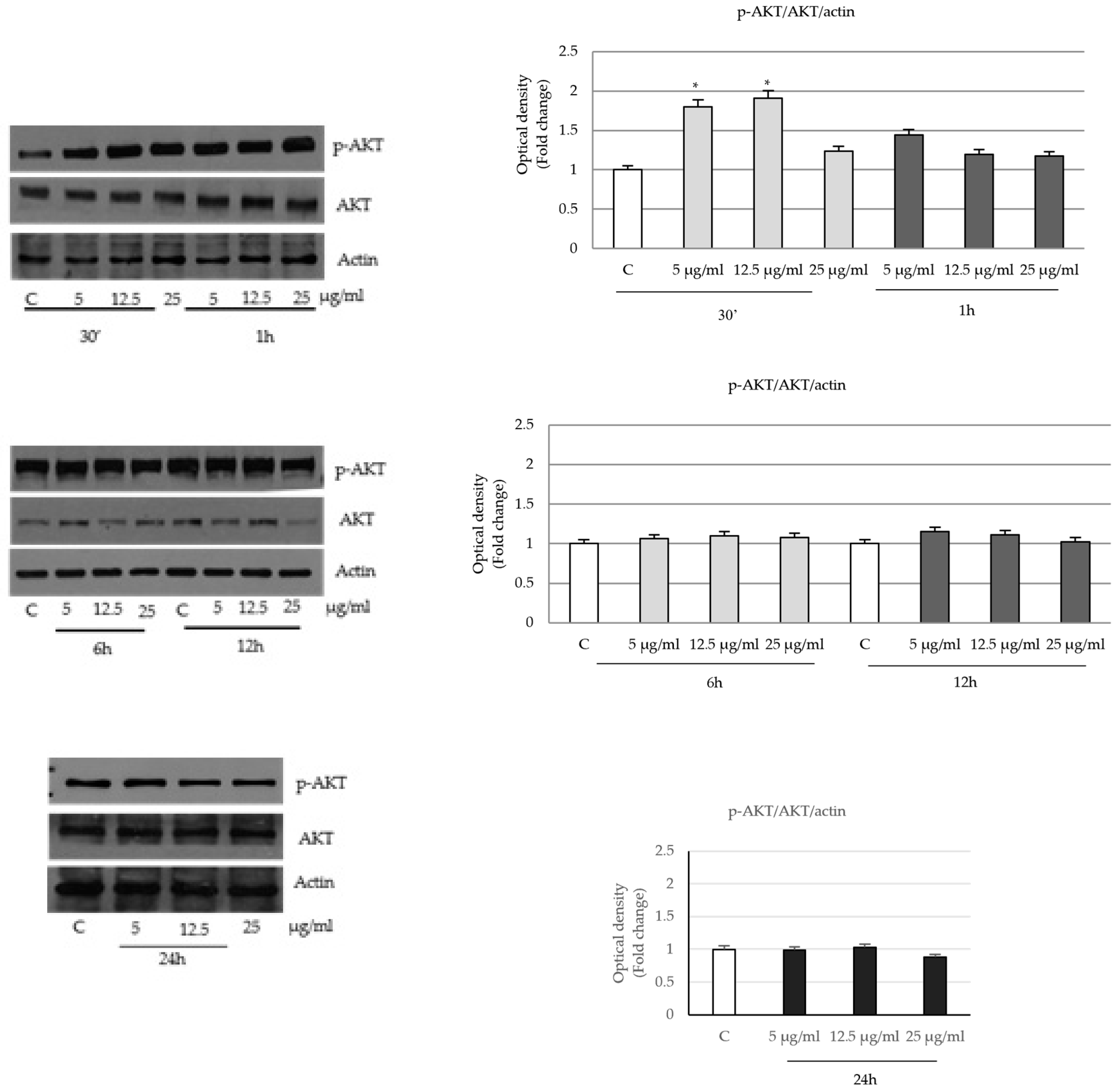 Ijms 24 16351 g008 Ijms 24 16351 g008