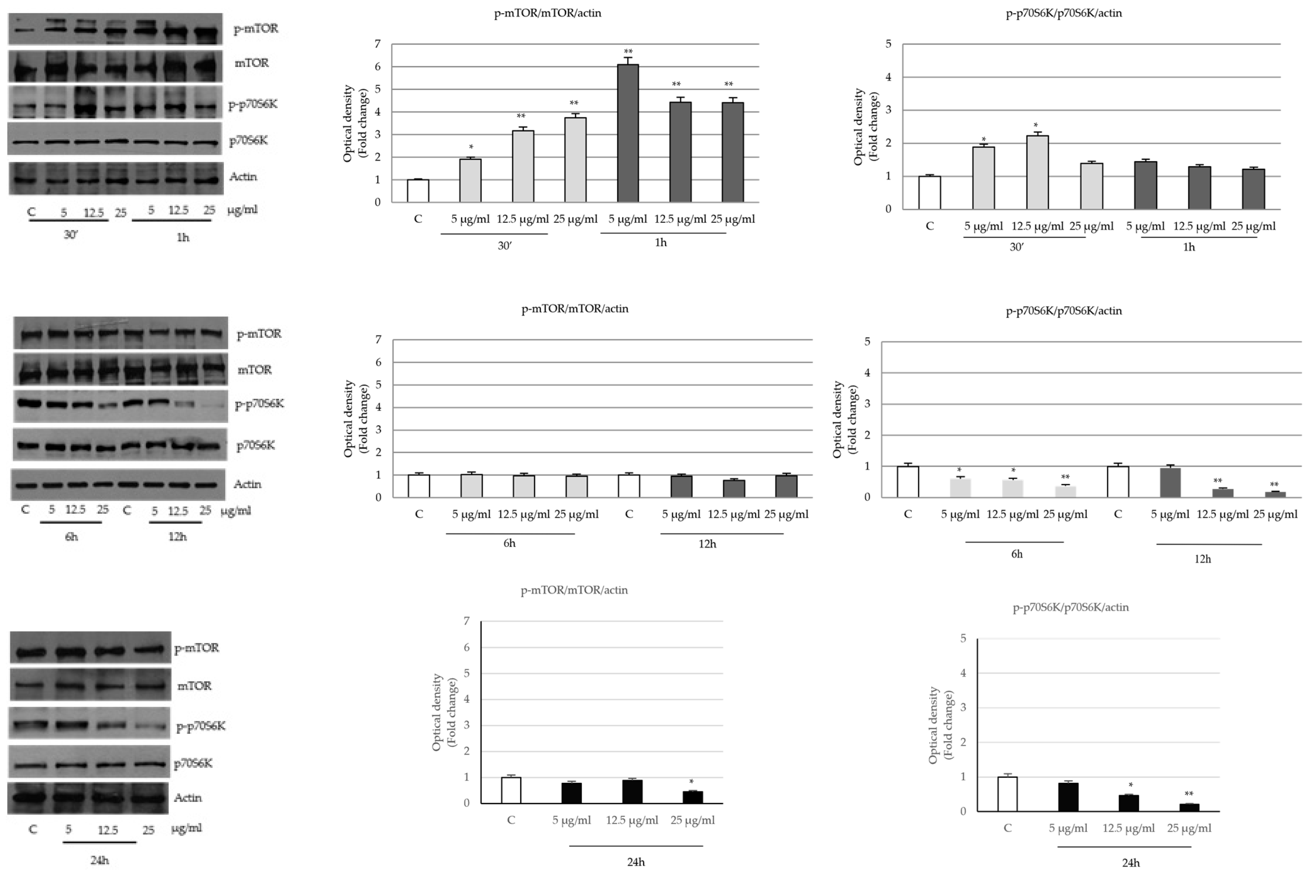 Ijms 24 16351 g009 Ijms 24 16351 g009