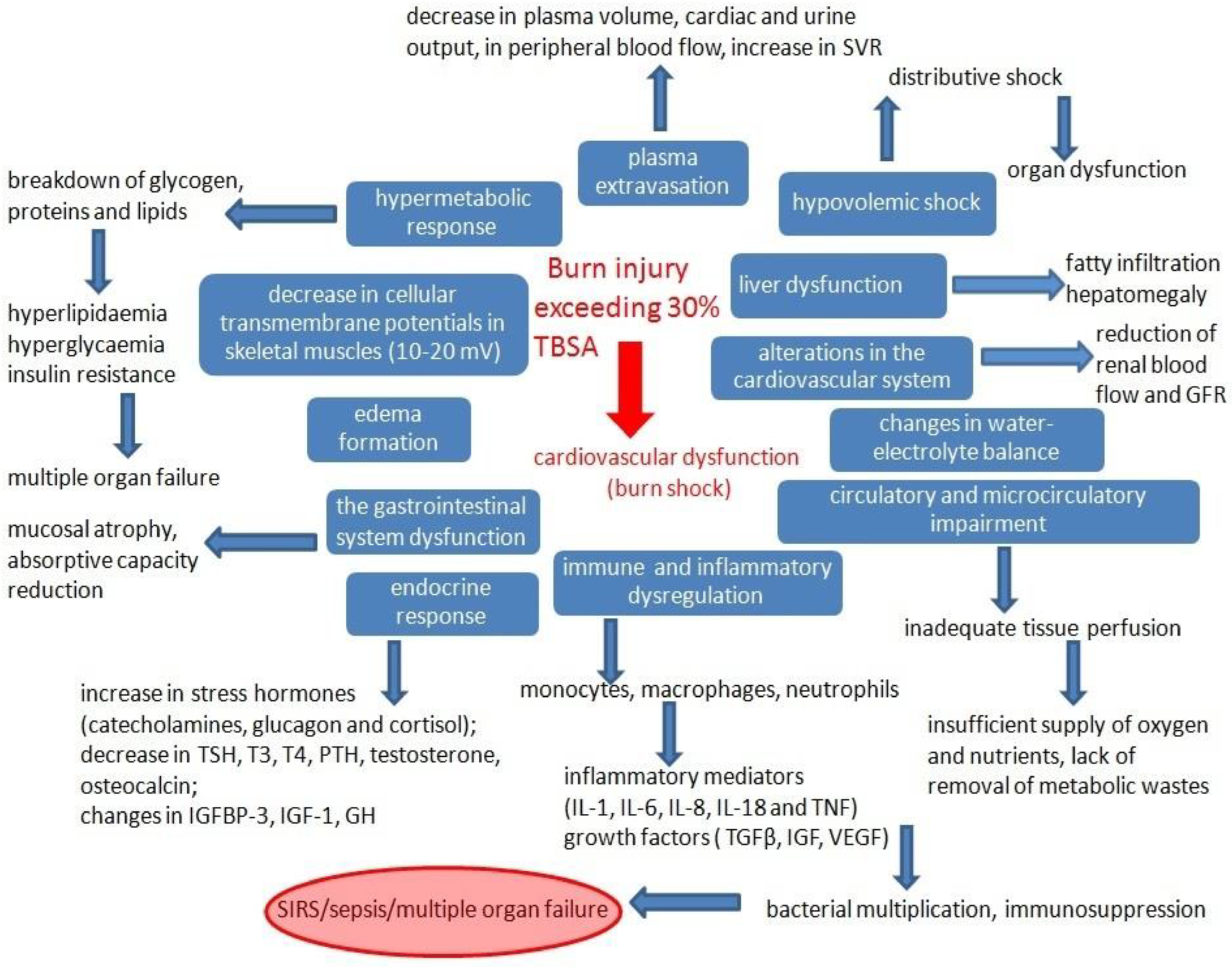 PDF) Sepsis in Burns—Lessons Learnt from Developments in the Management of  Septic Shock