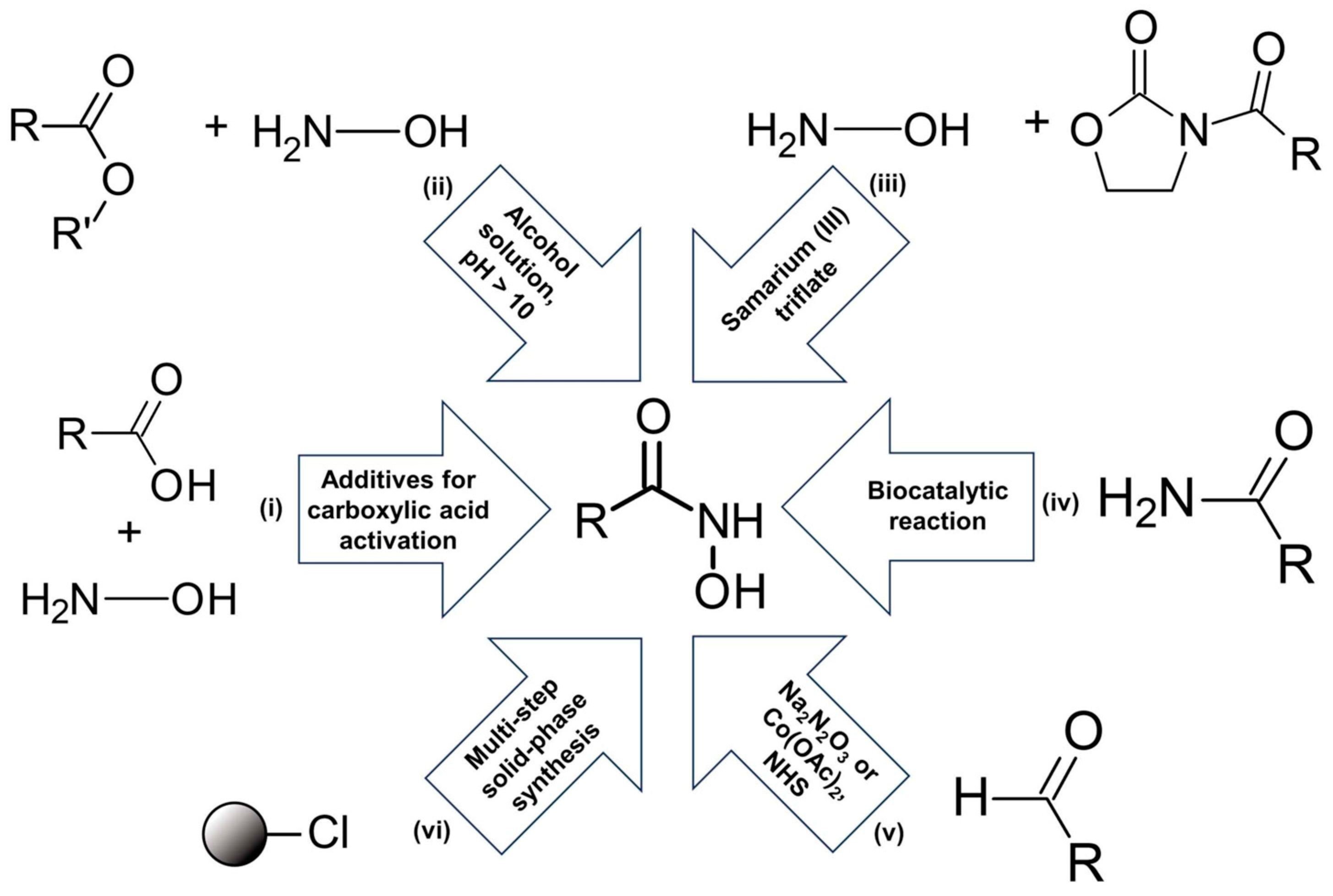 Ijms 24 16360 g001 Ijms 24 16360 g001