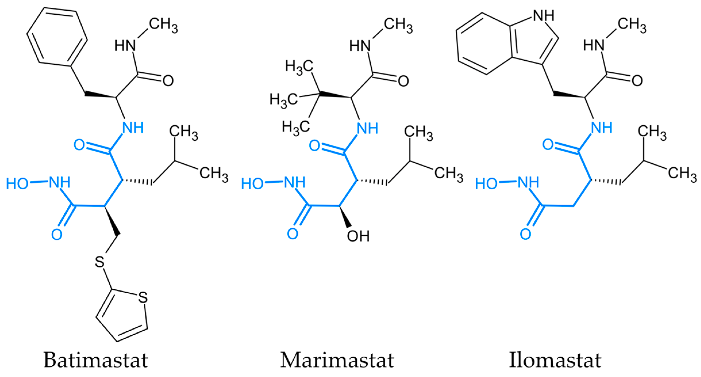 Ijms 24 16360 g002 Ijms 24 16360 g002