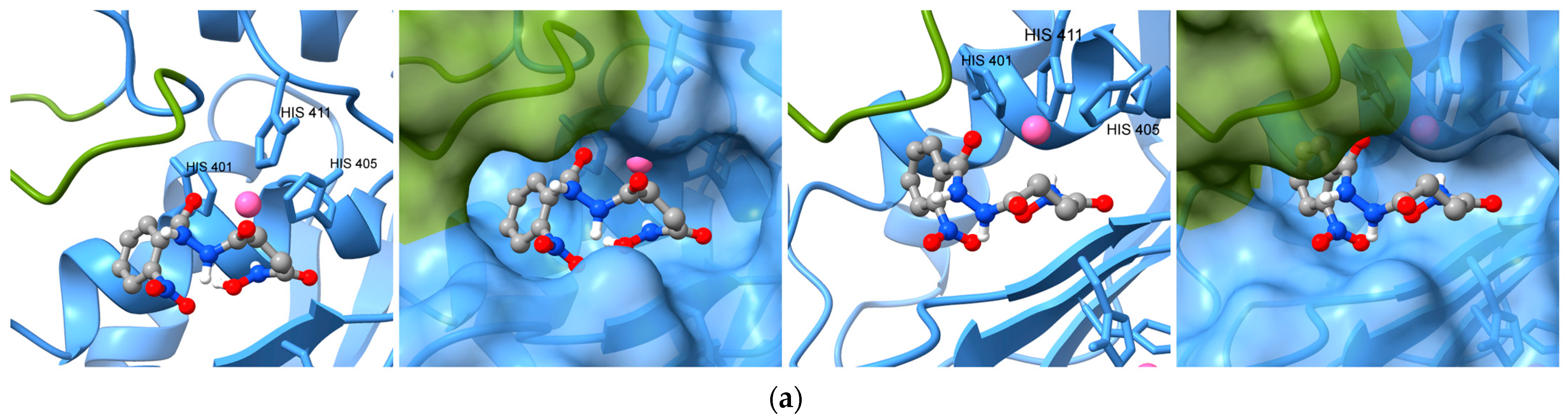 Ijms 24 16360 g005a Ijms 24 16360 g005a