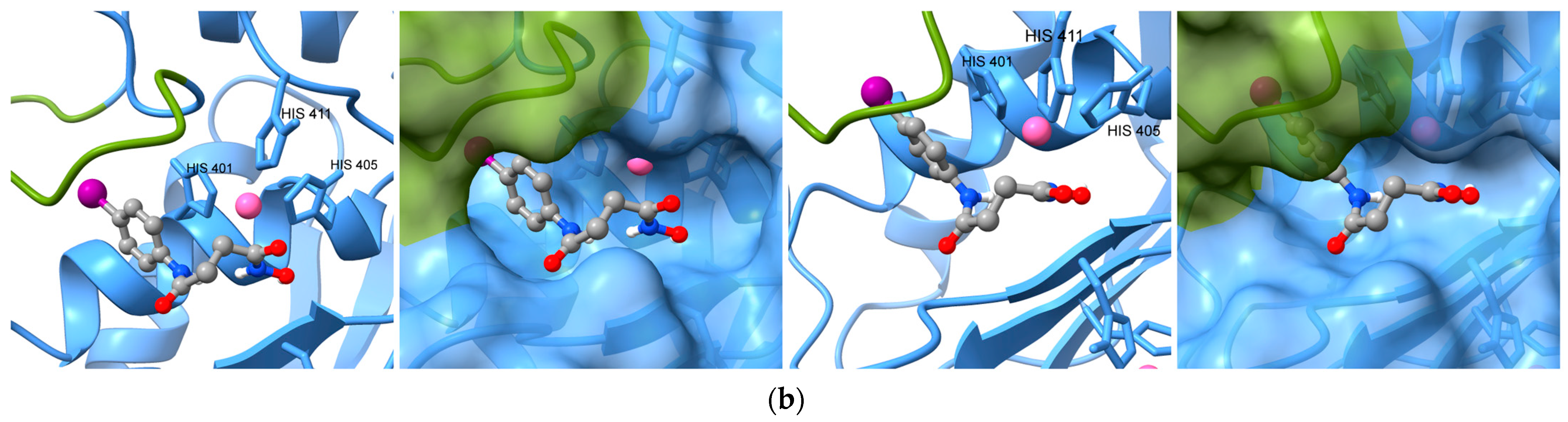 Ijms 24 16360 g005b Ijms 24 16360 g005b