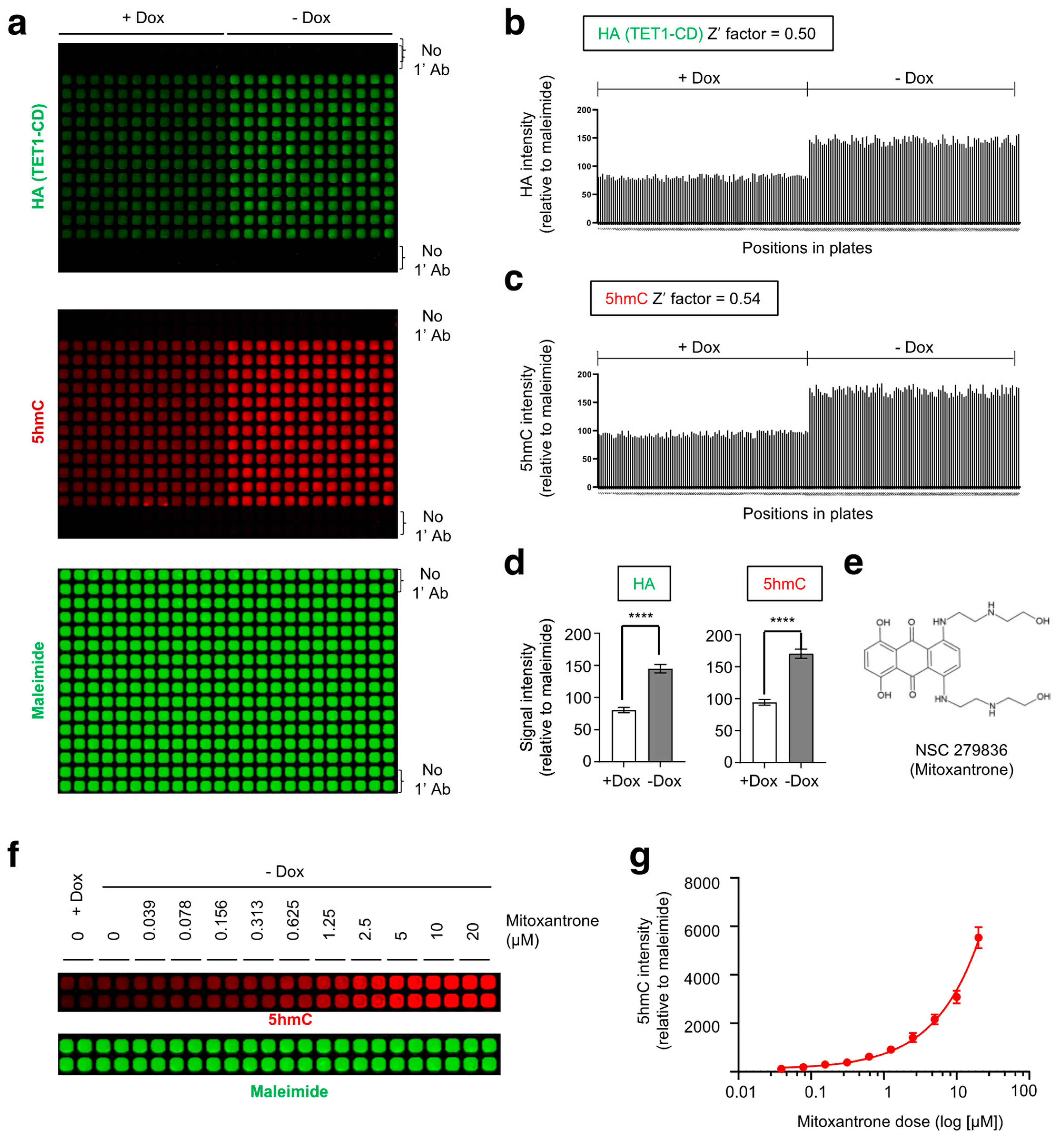 Ijms 24 16375 g002 Ijms 24 16375 g002