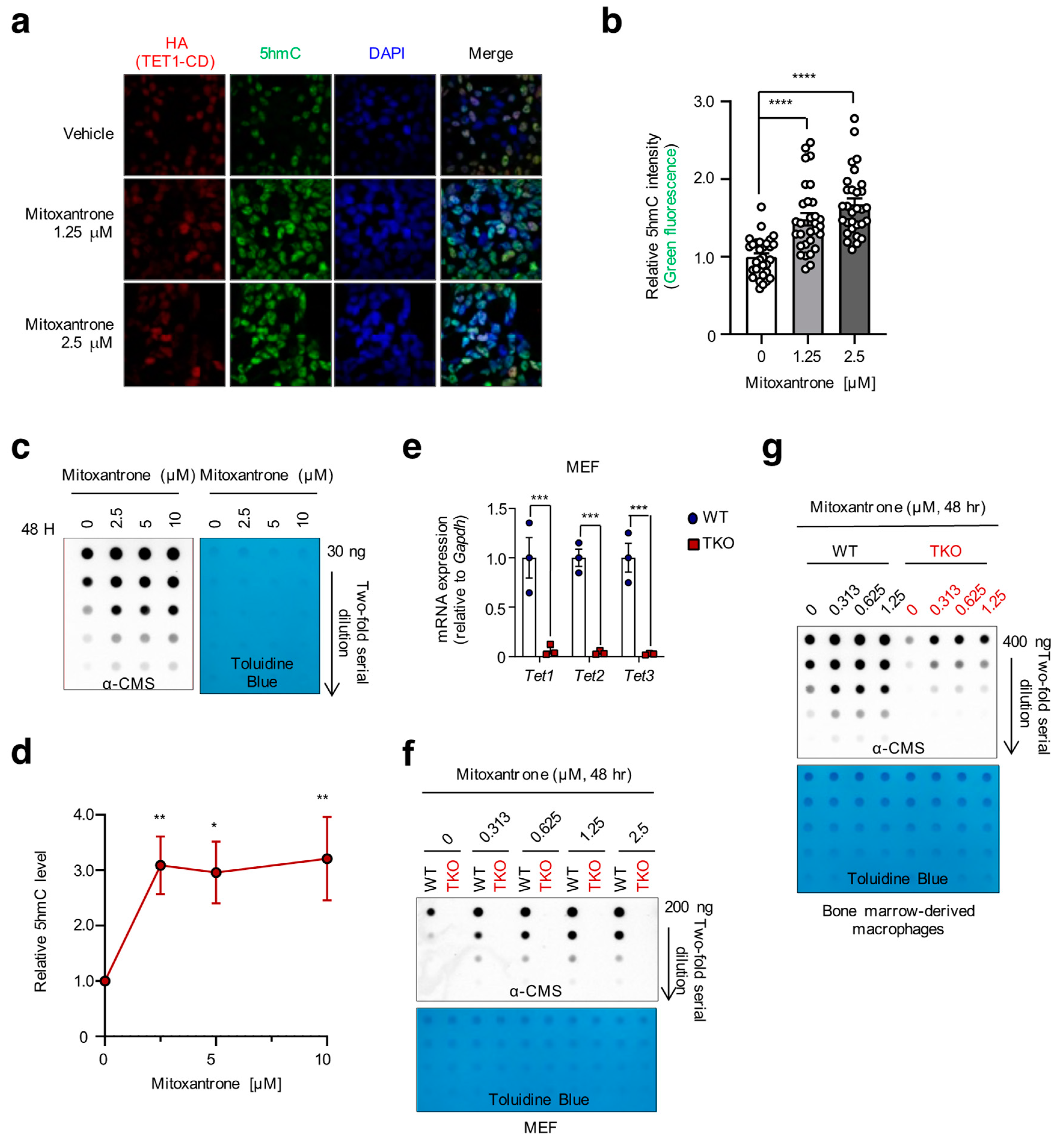 Ijms 24 16375 g003 Ijms 24 16375 g003