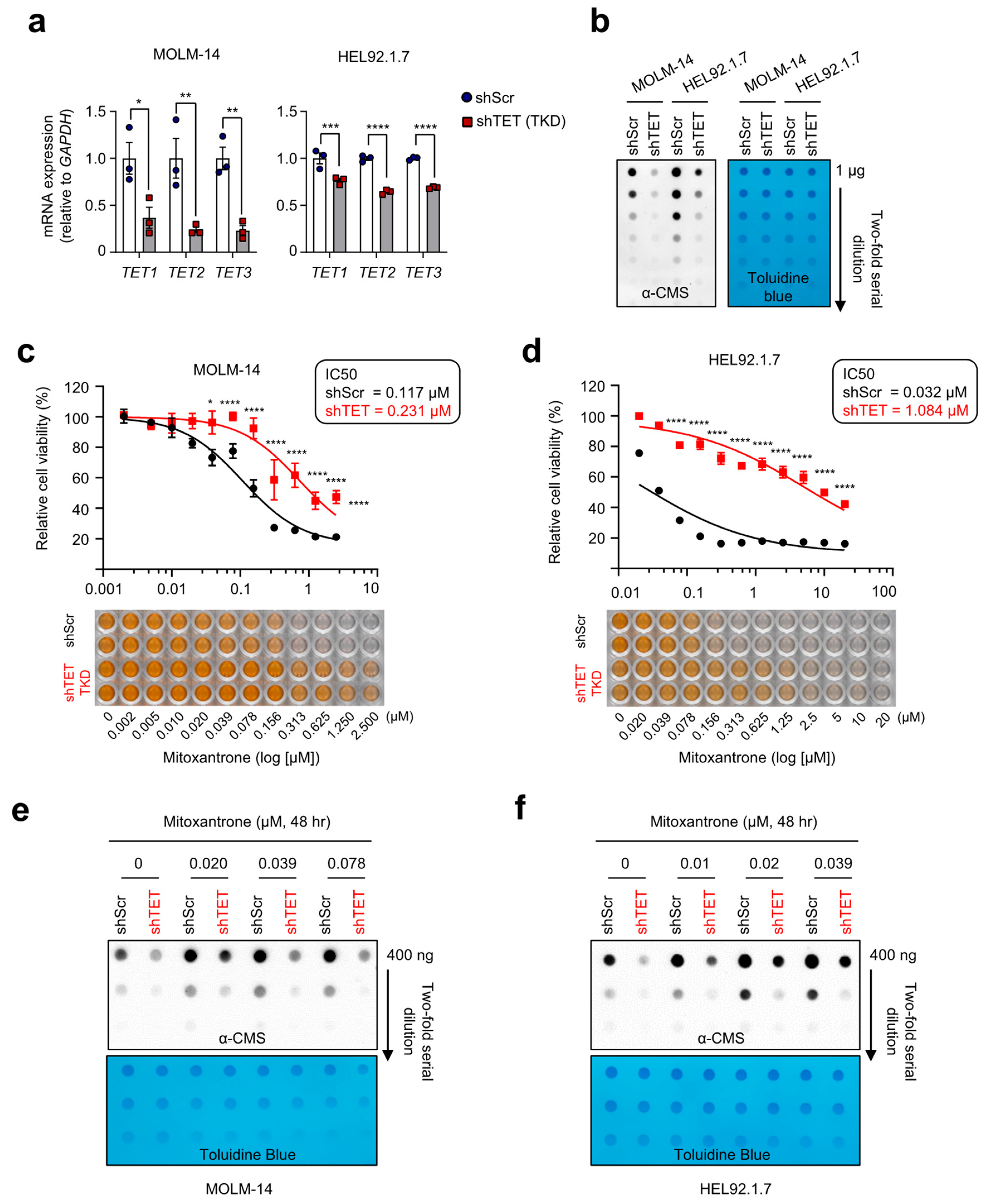 Ijms 24 16375 g004 Ijms 24 16375 g004