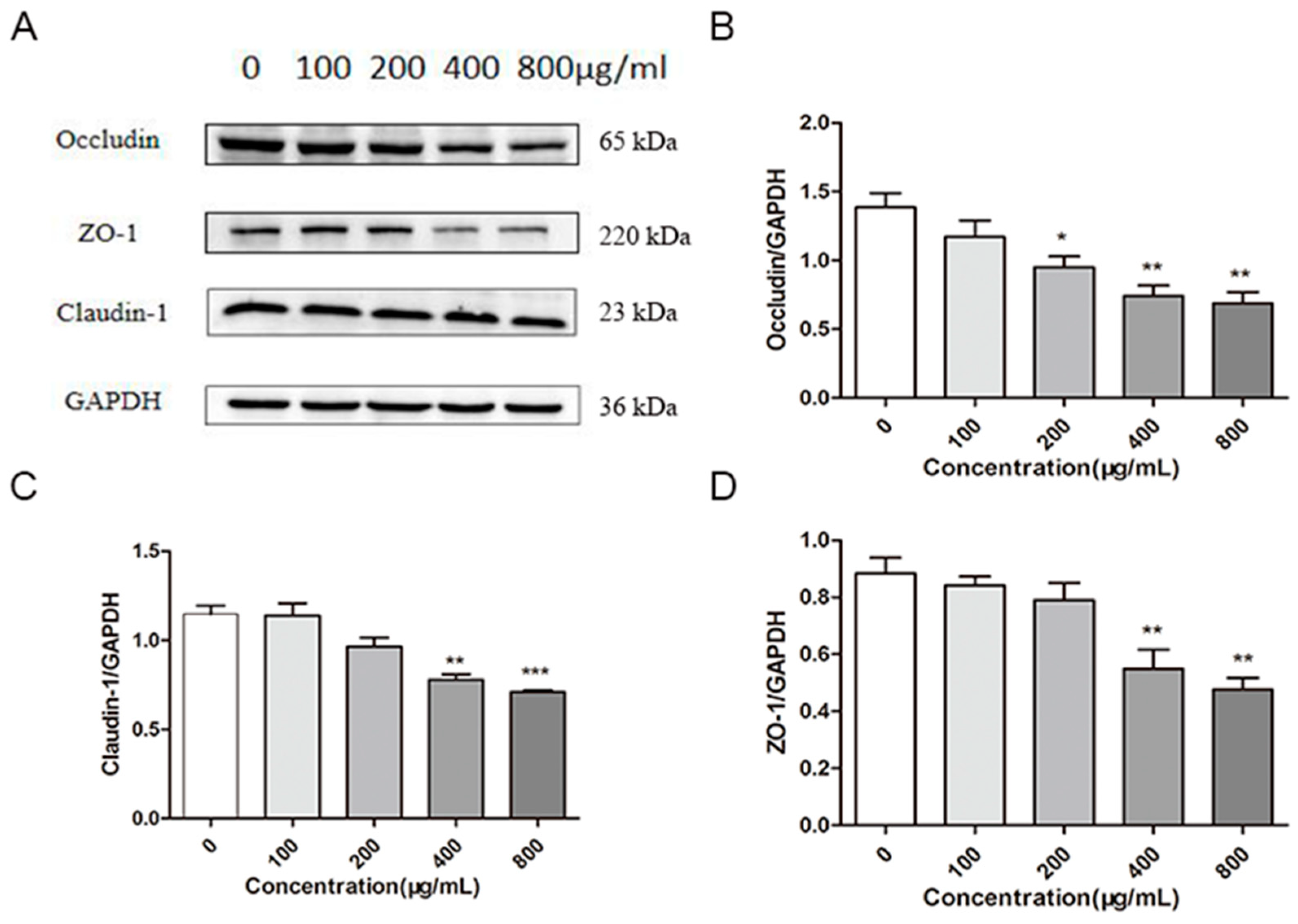 Ijms 24 16425 g003 Ijms 24 16425 g003