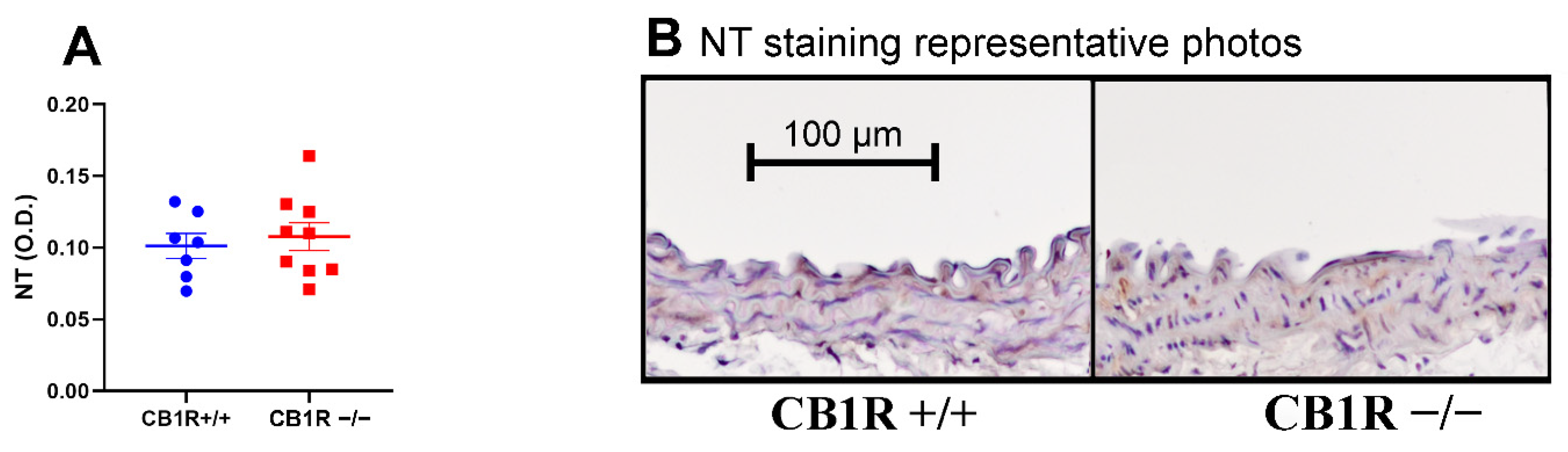 Ijms 24 16429 g008 Ijms 24 16429 g008