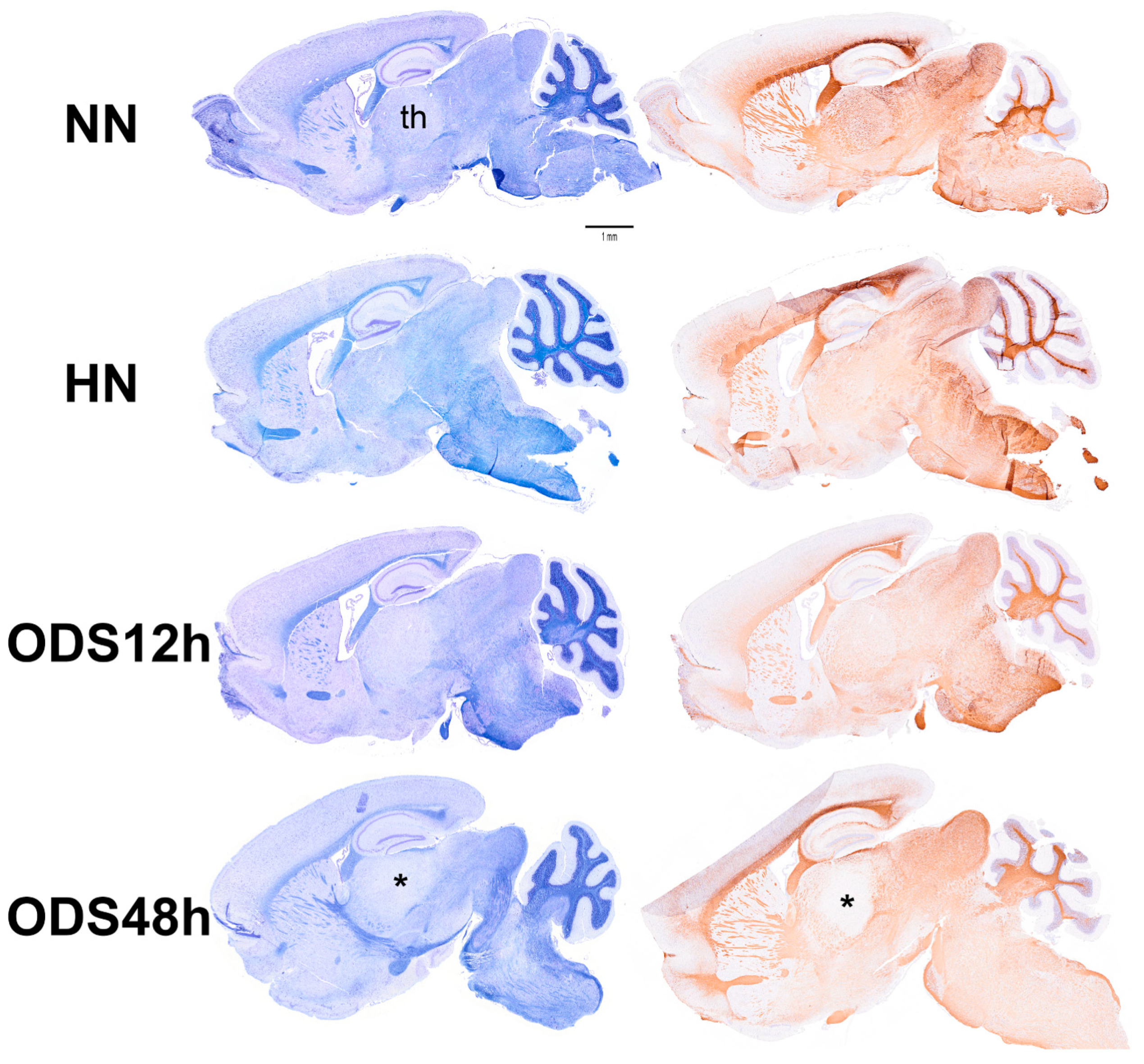 Ijms 24 16448 g002 Ijms 24 16448 g002