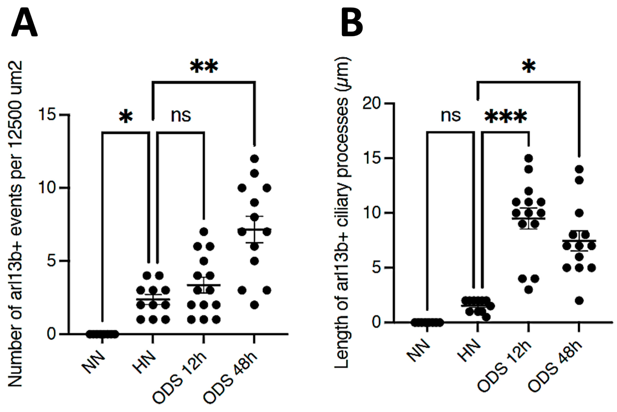 Ijms 24 16448 g005 Ijms 24 16448 g005