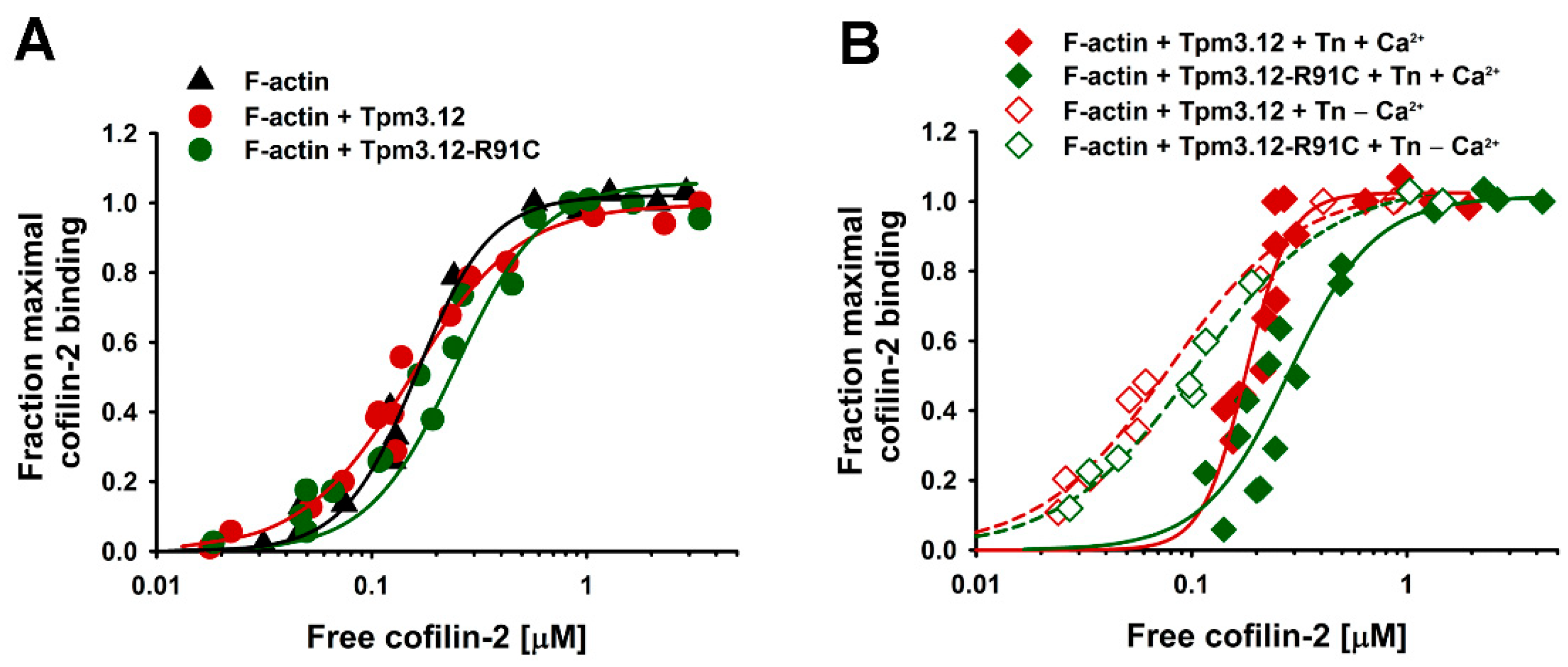 Ijms 24 16457 g001 Ijms 24 16457 g001