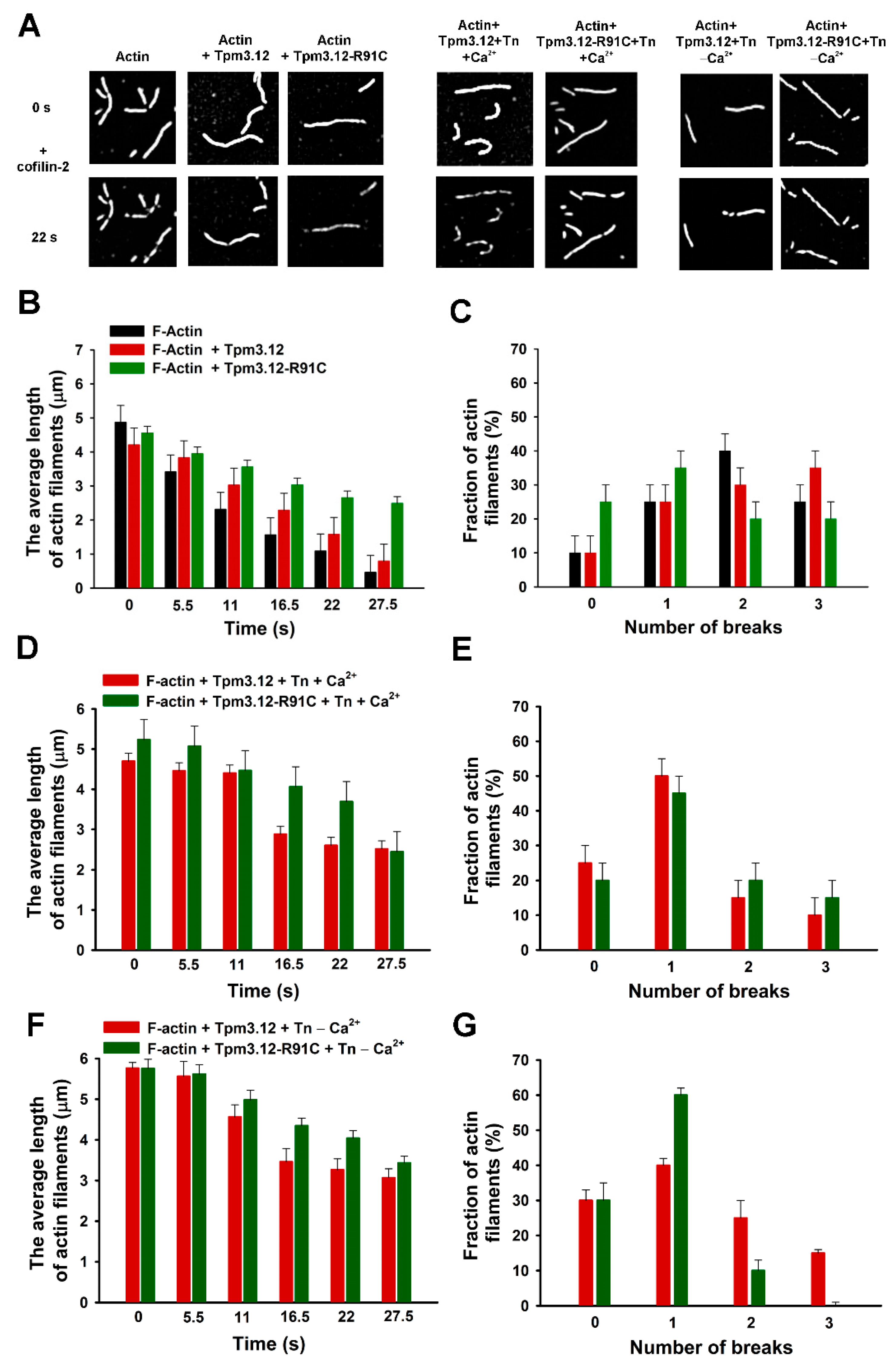 Ijms 24 16457 g004 Ijms 24 16457 g004