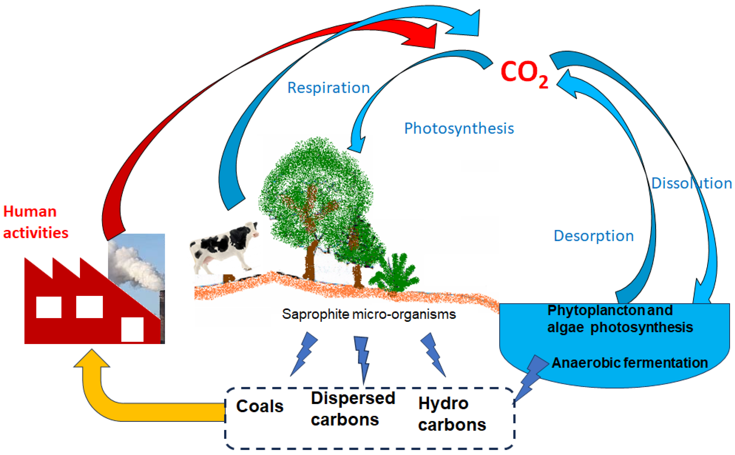 Ijms 24 16463 sch002