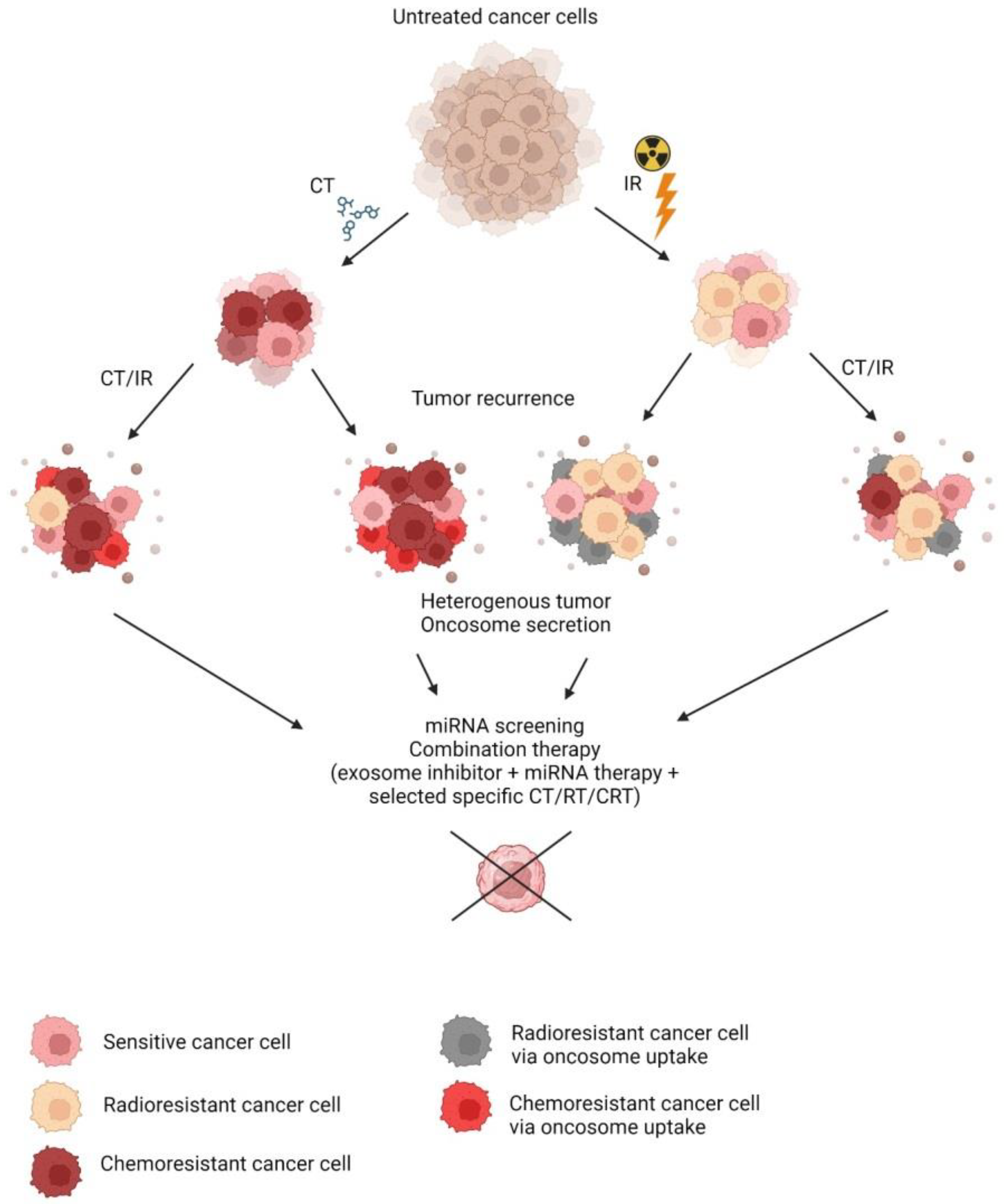 Ijms 24 16498 g002 Ijms 24 16498 g002