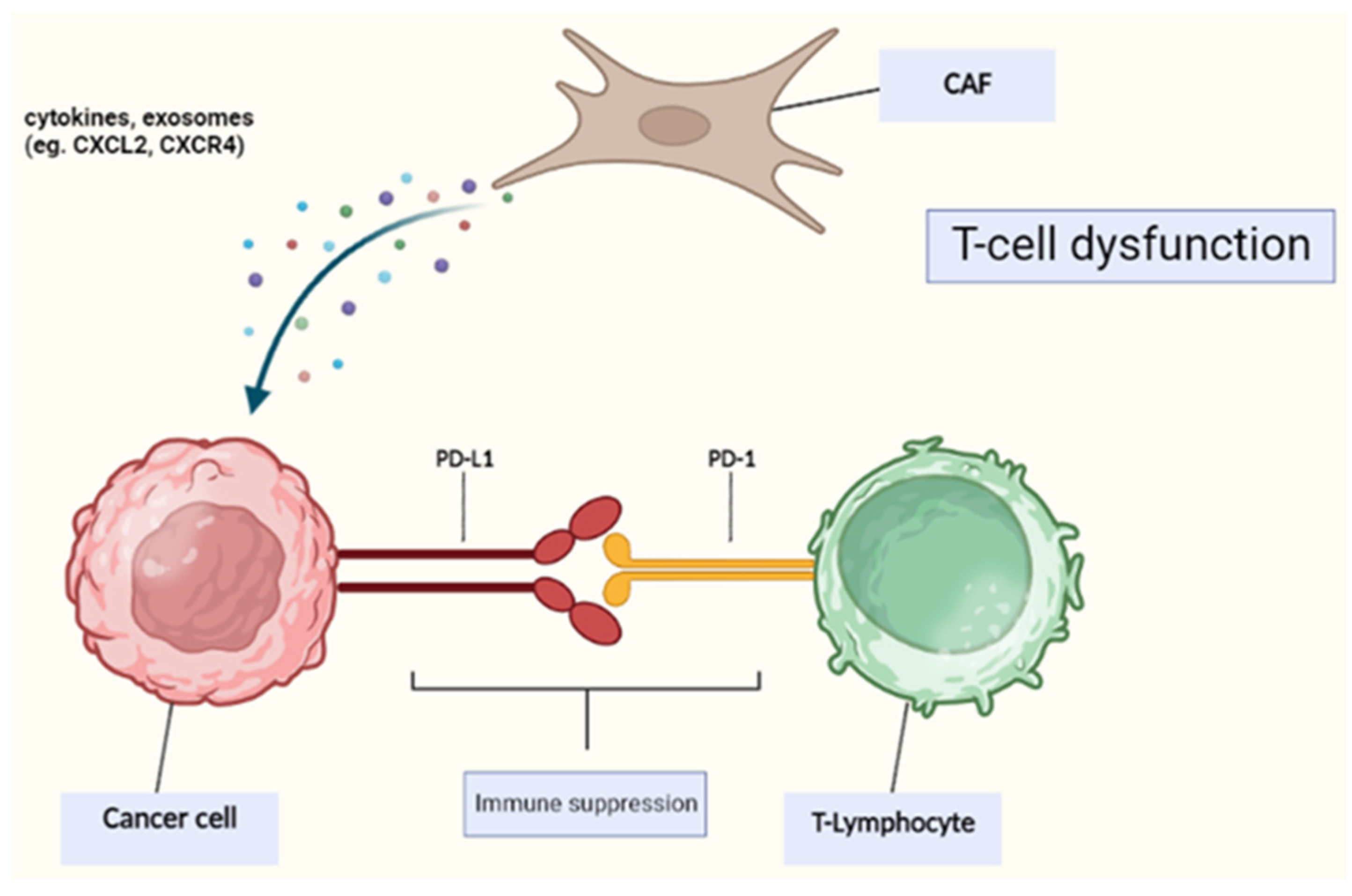 Ijms 24 16505 g001 Ijms 24 16505 g001