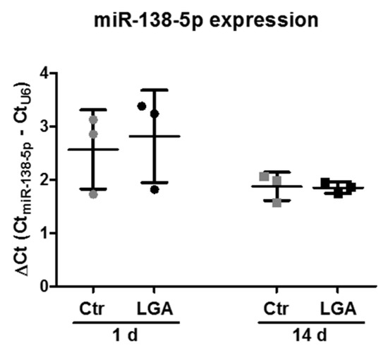 MiR-138-5p Upregulation during Neuronal Maturation Parallels