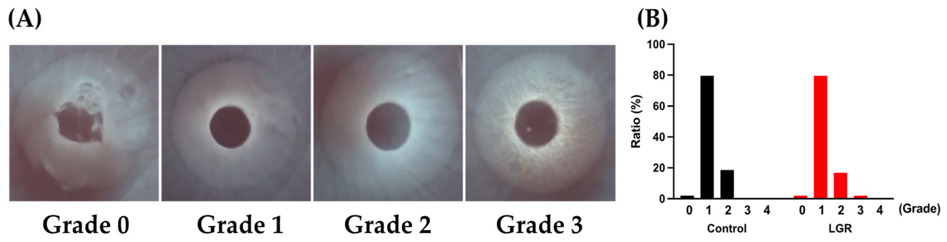 Ijms 24 16510 g004 Ijms 24 16510 g004