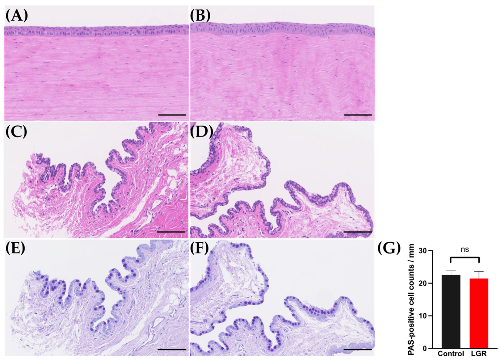 Ijms 24 16510 g005 Ijms 24 16510 g005