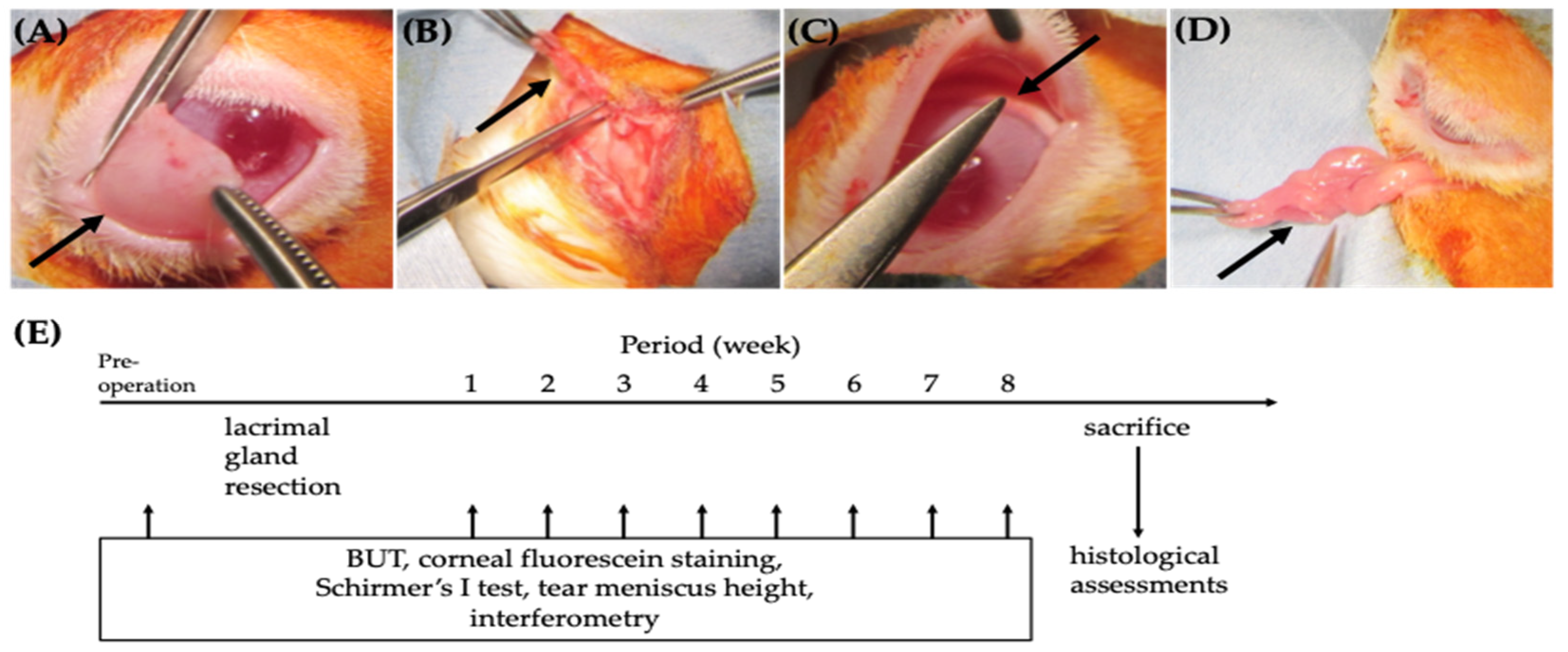Ijms 24 16510 g006 Ijms 24 16510 g006