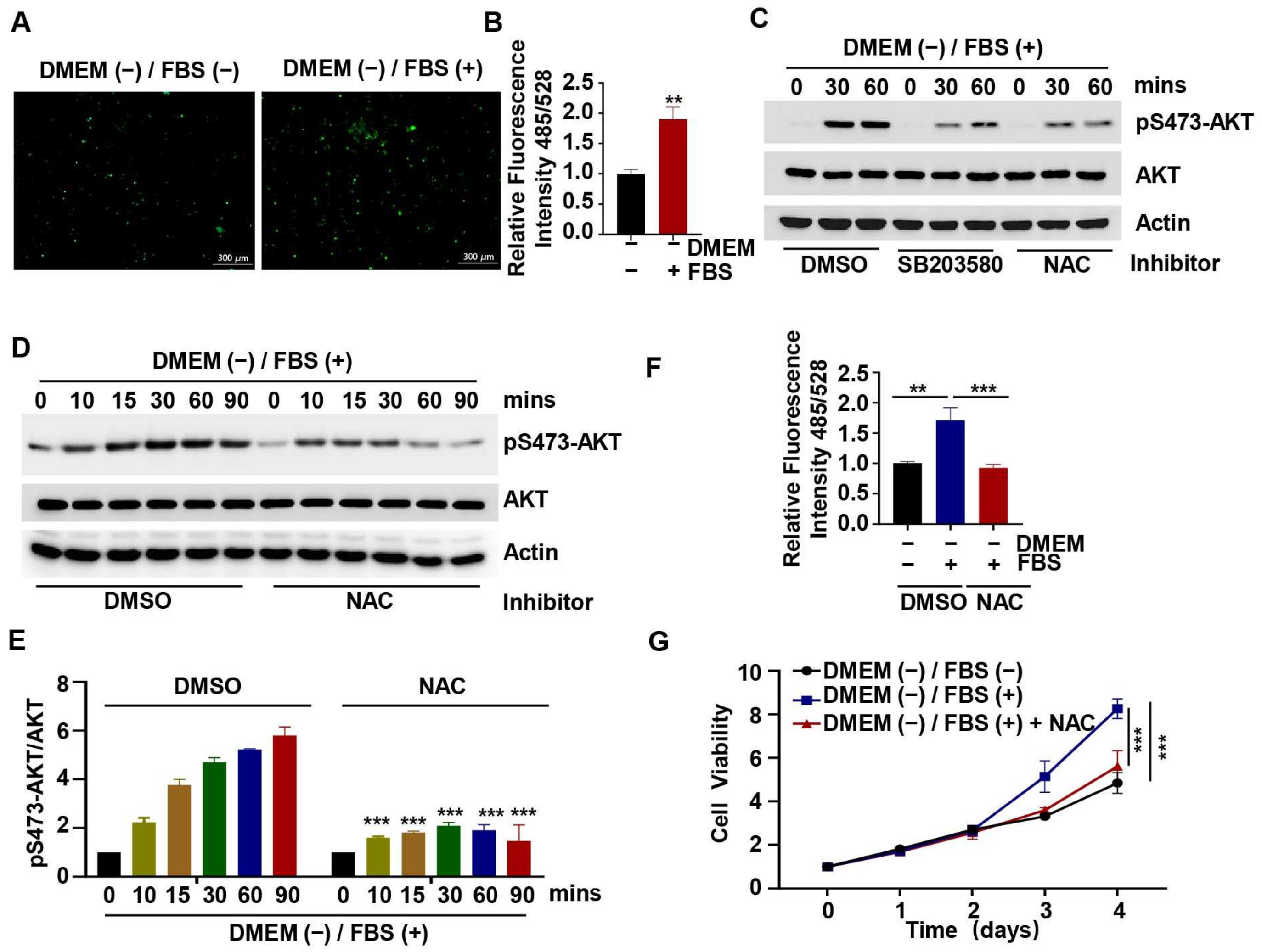 Ijms 24 16538 g005 Ijms 24 16538 g005