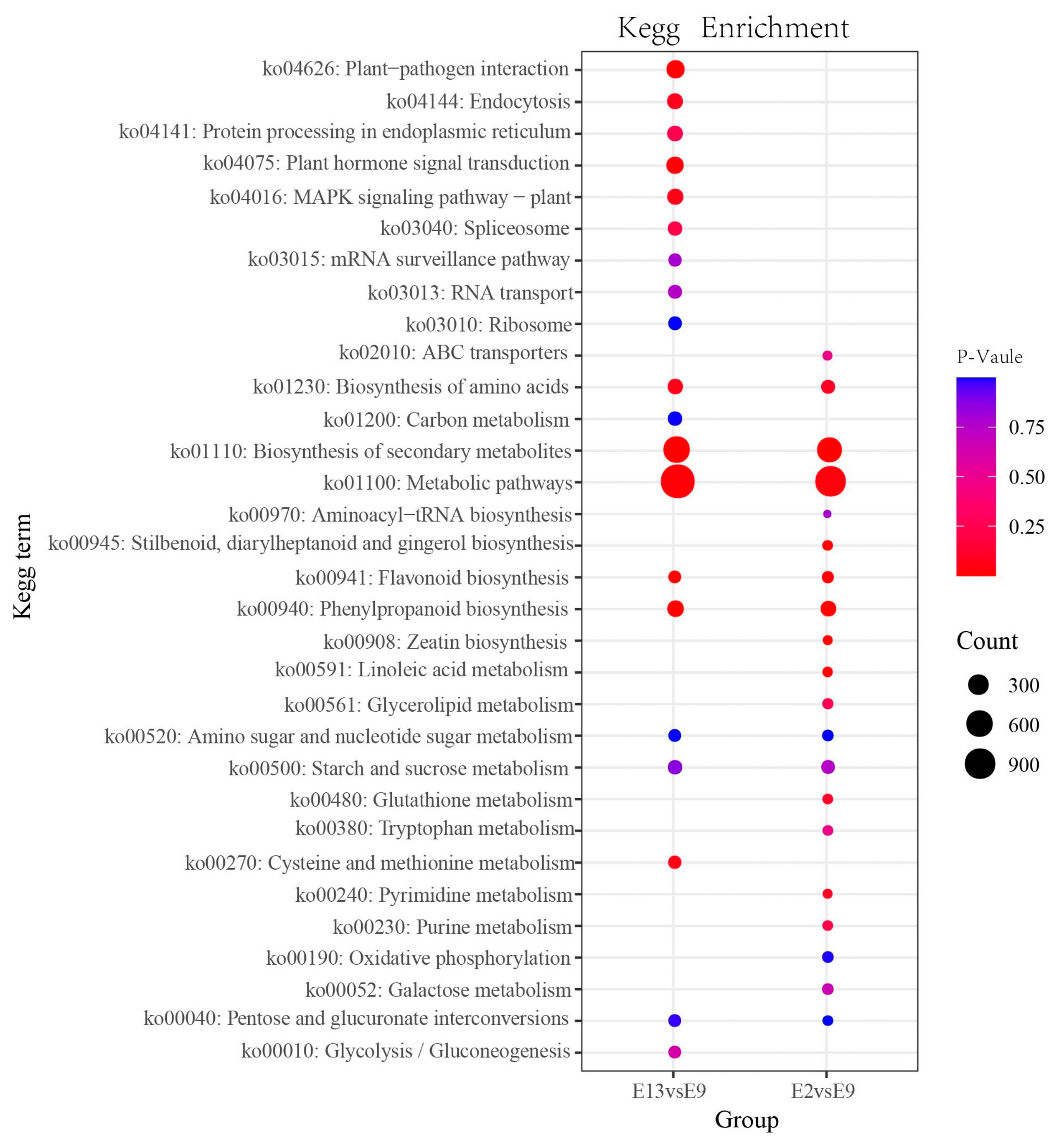 Ijms 24 16550 g003 Ijms 24 16550 g003