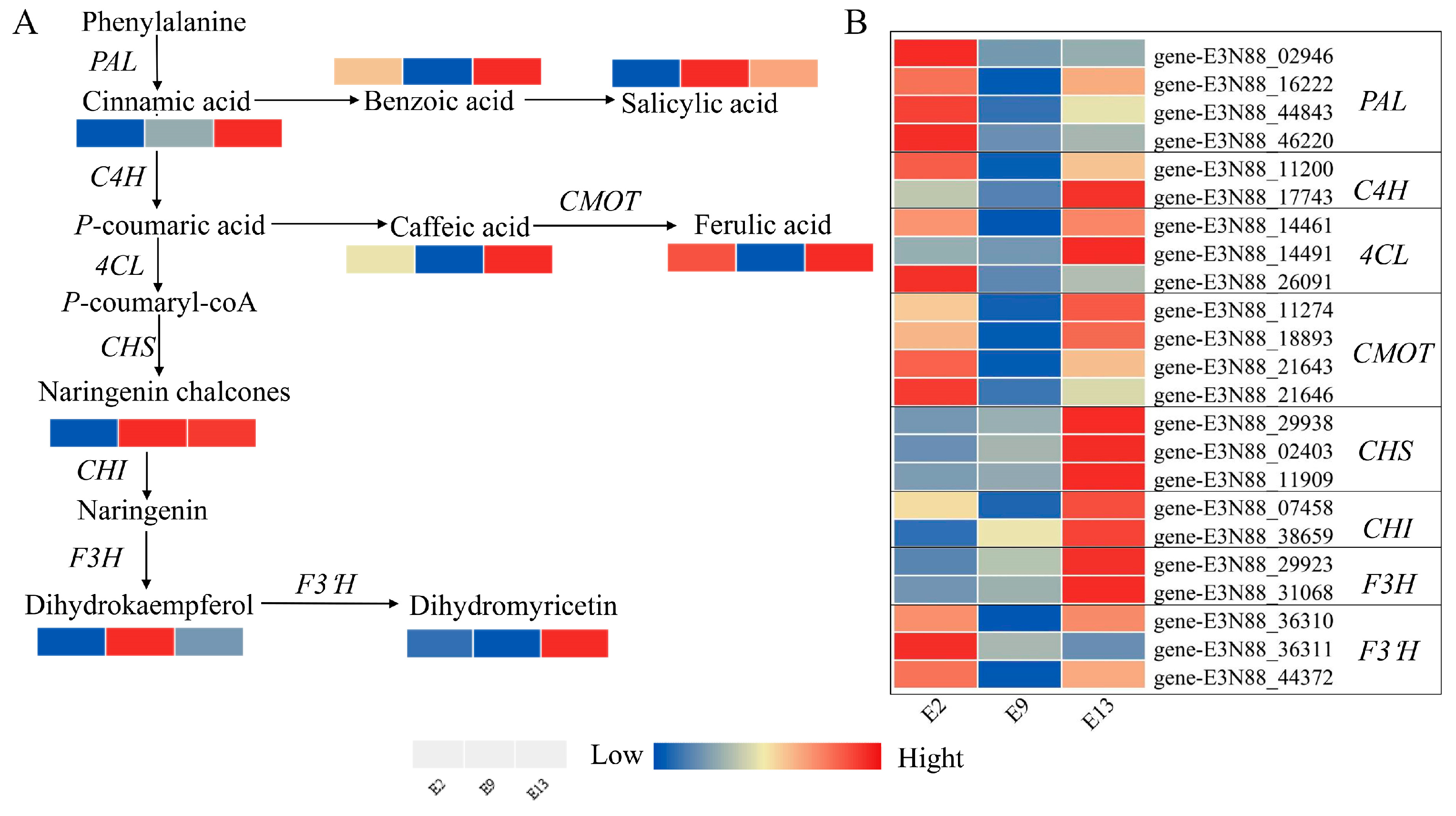 Ijms 24 16550 g005 Ijms 24 16550 g005