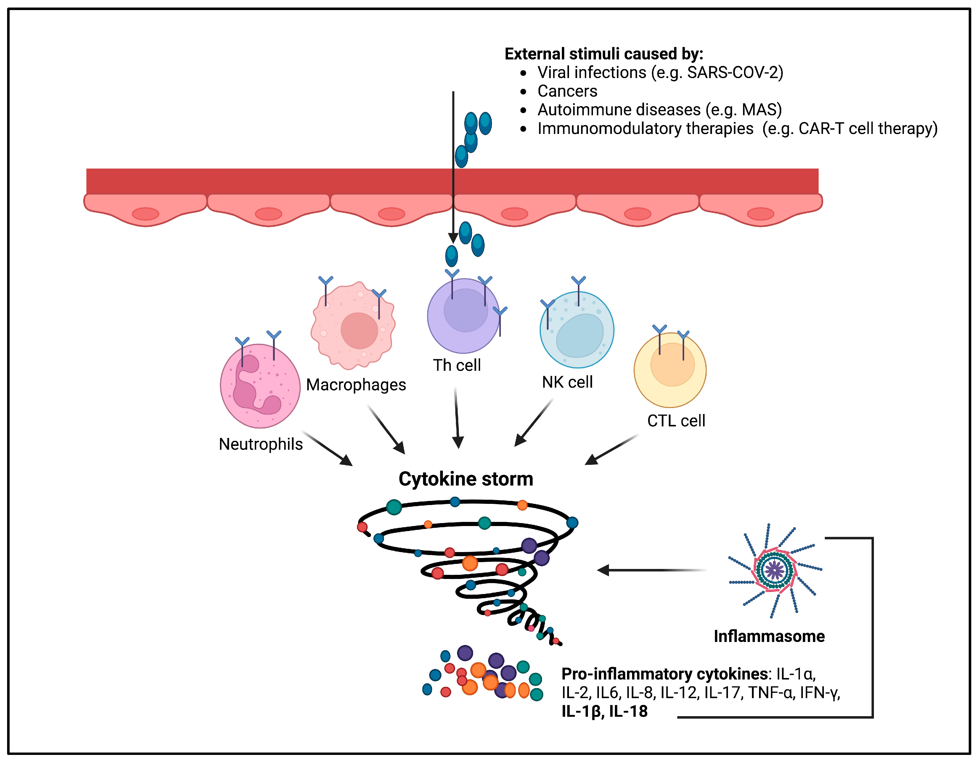 Ijms 24 16556 g007 Ijms 24 16556 g007