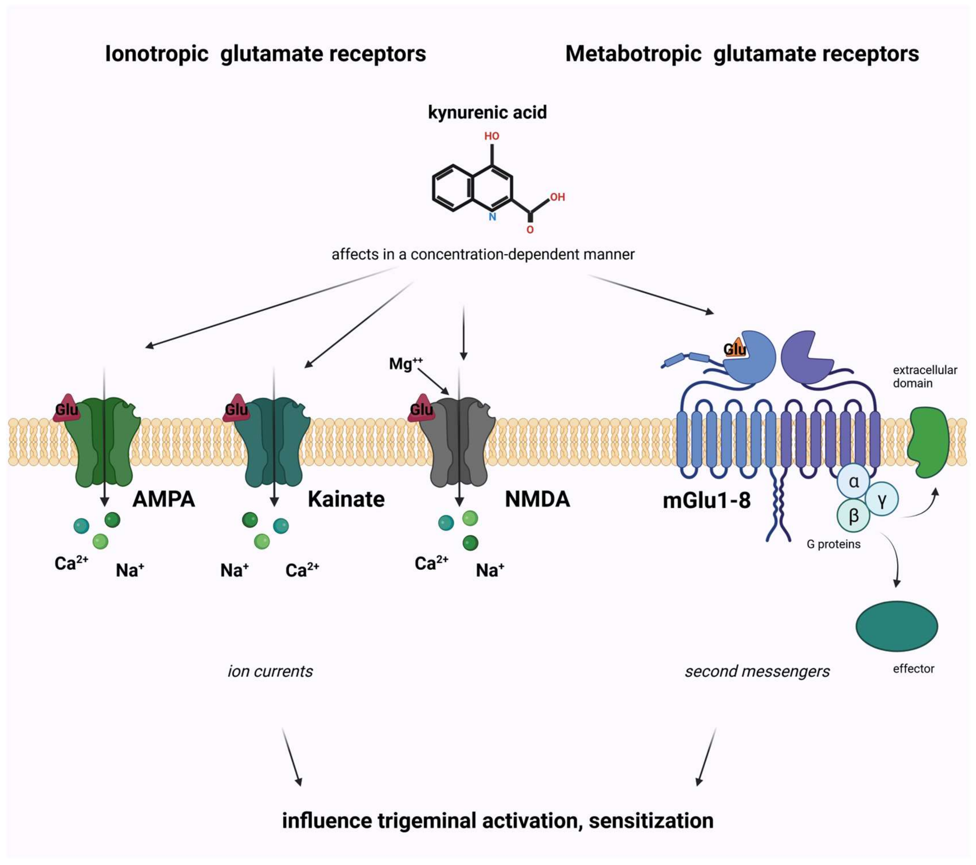 Ijms 24 16574 g006 Ijms 24 16574 g006