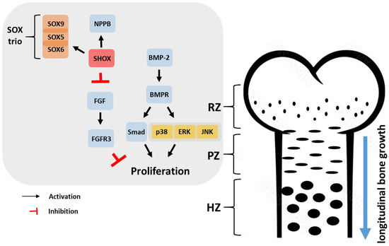The Effects of Natural Product-Derived Extracts for The Effects of Natural Product-Derived Extracts for