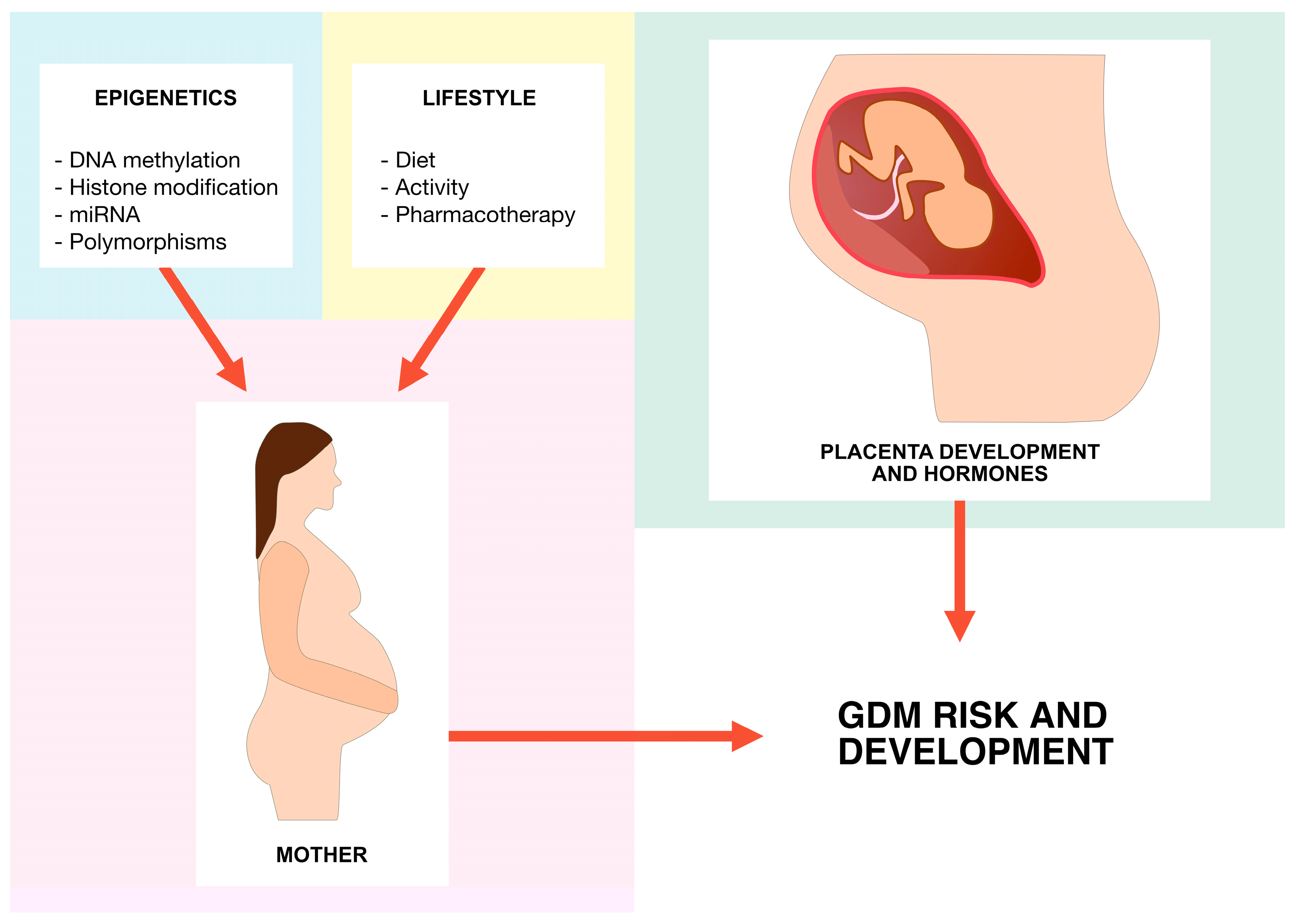 Ijms 24 16619 g001 Ijms 24 16619 g001