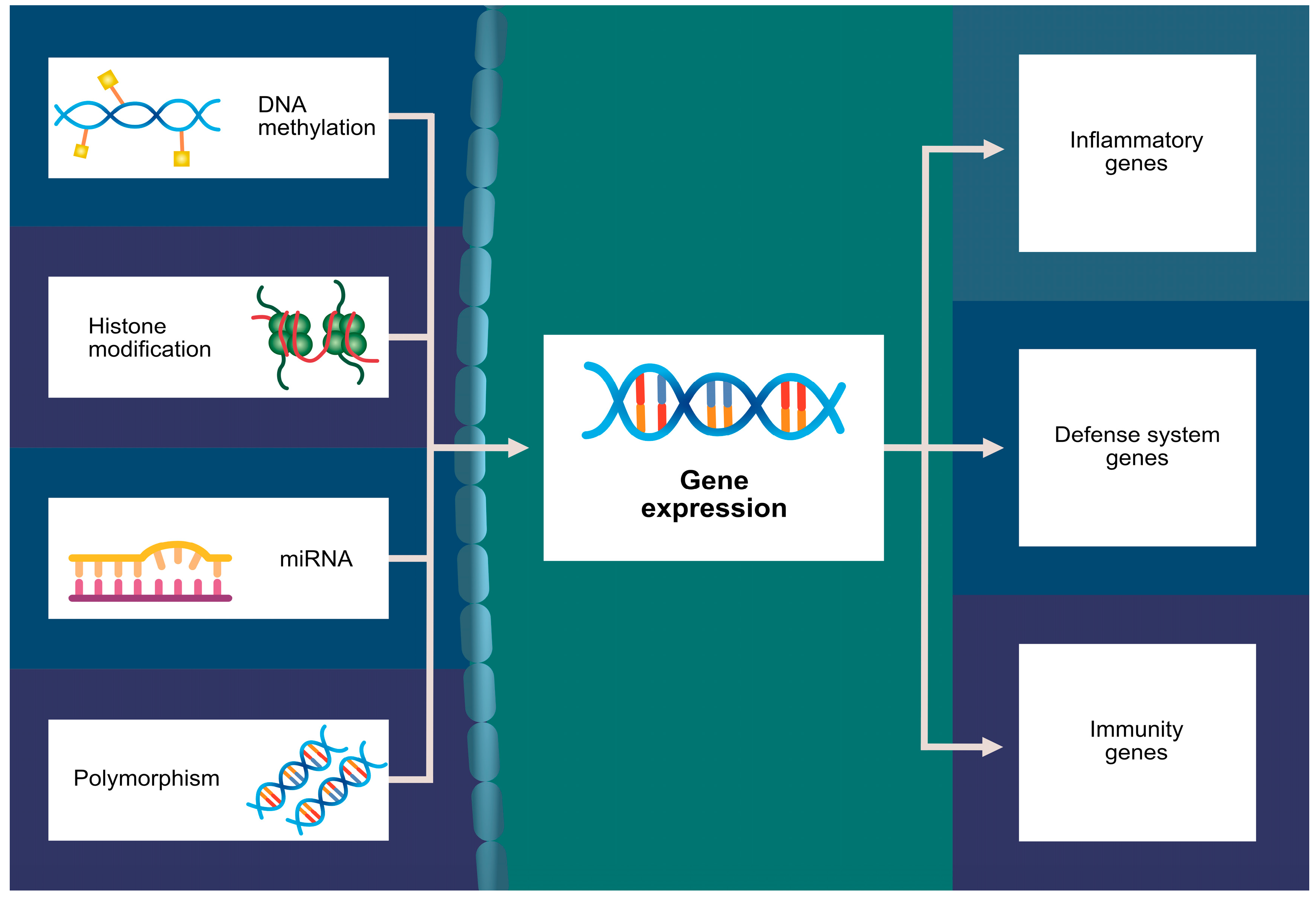 Ijms 24 16619 g002 Ijms 24 16619 g002