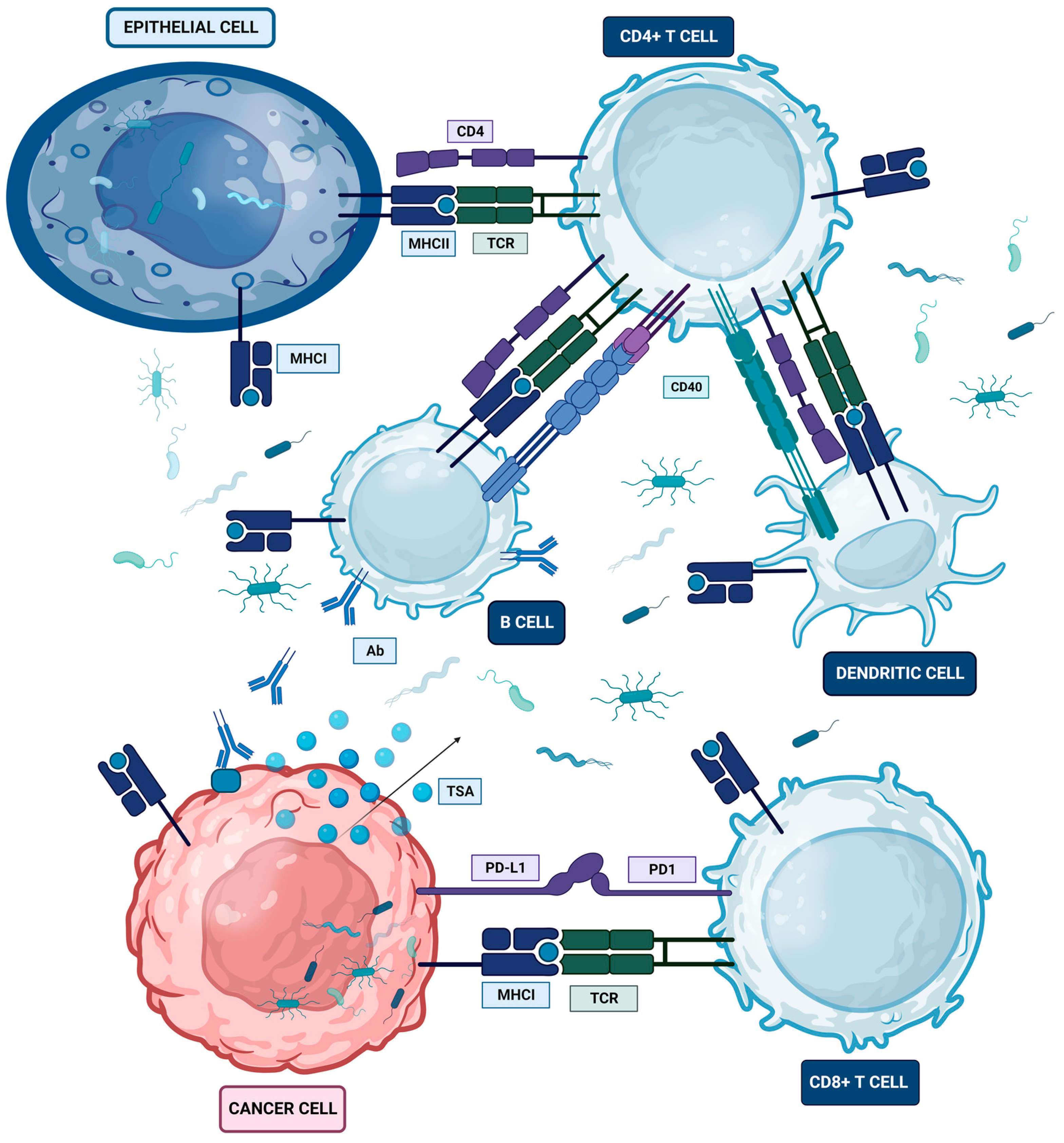 Host Transcriptional Regulatory Genes and Microbiome