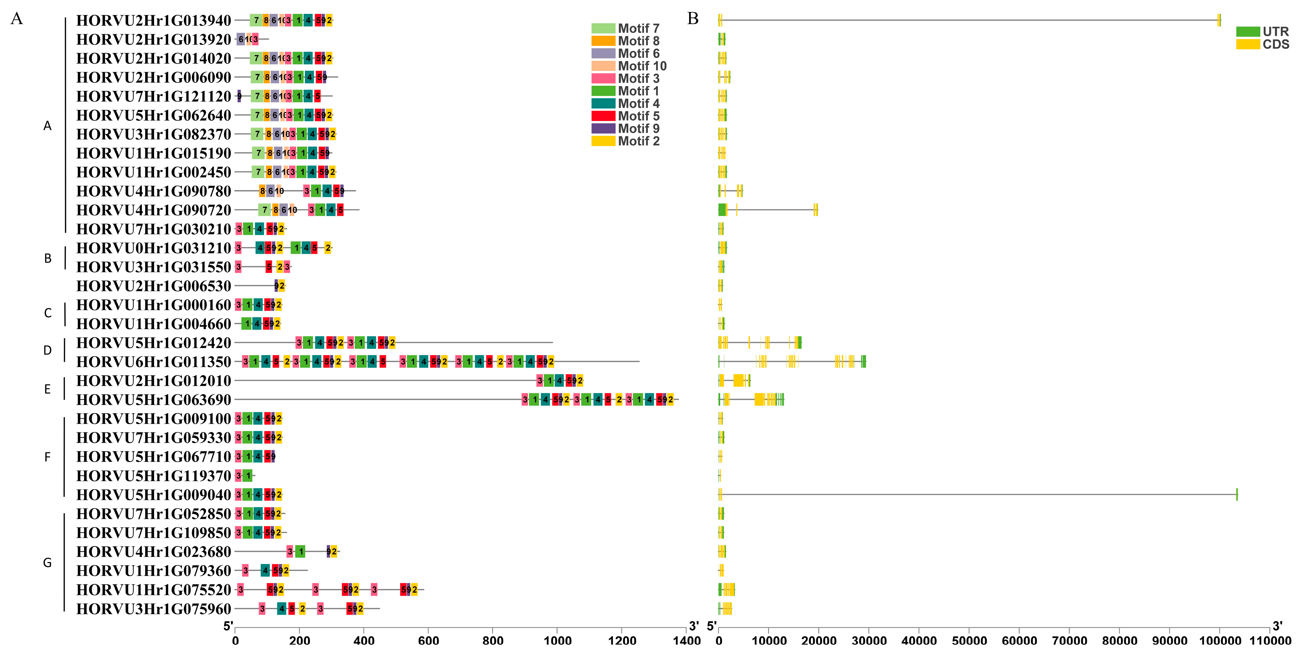 Ijms 24 16641 g002 Ijms 24 16641 g002