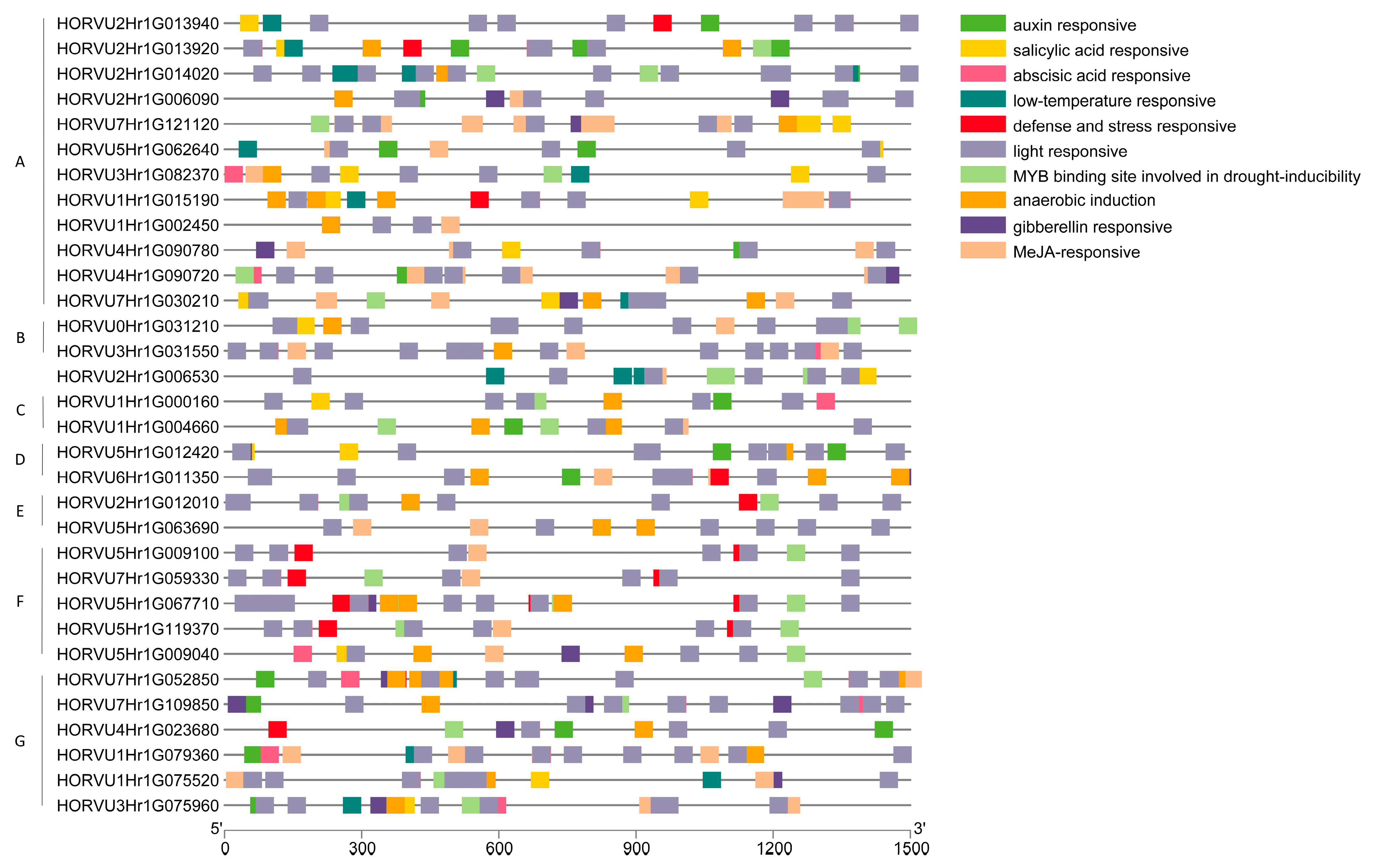 Ijms 24 16641 g004 Ijms 24 16641 g004