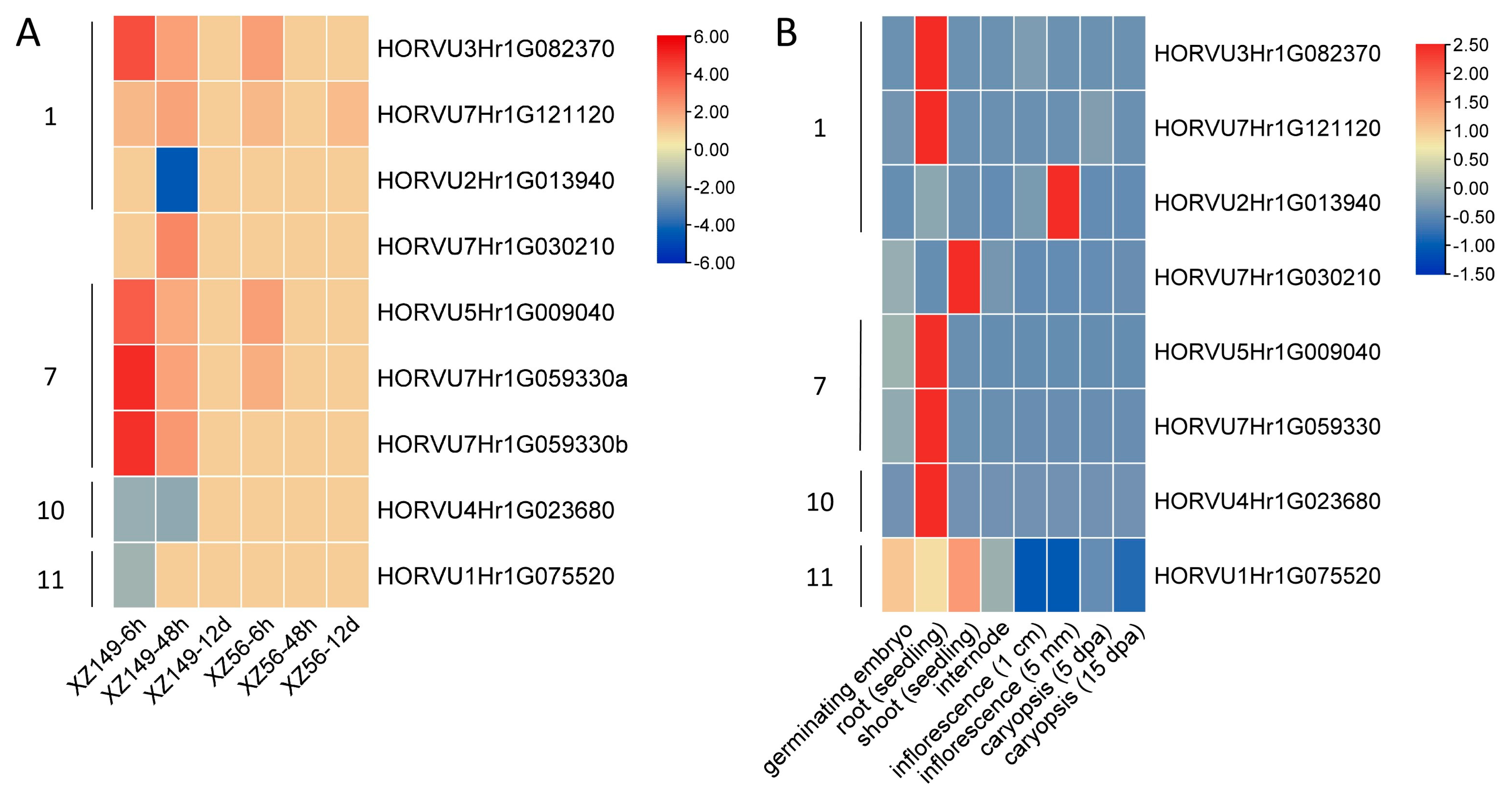 Ijms 24 16641 g006 Ijms 24 16641 g006