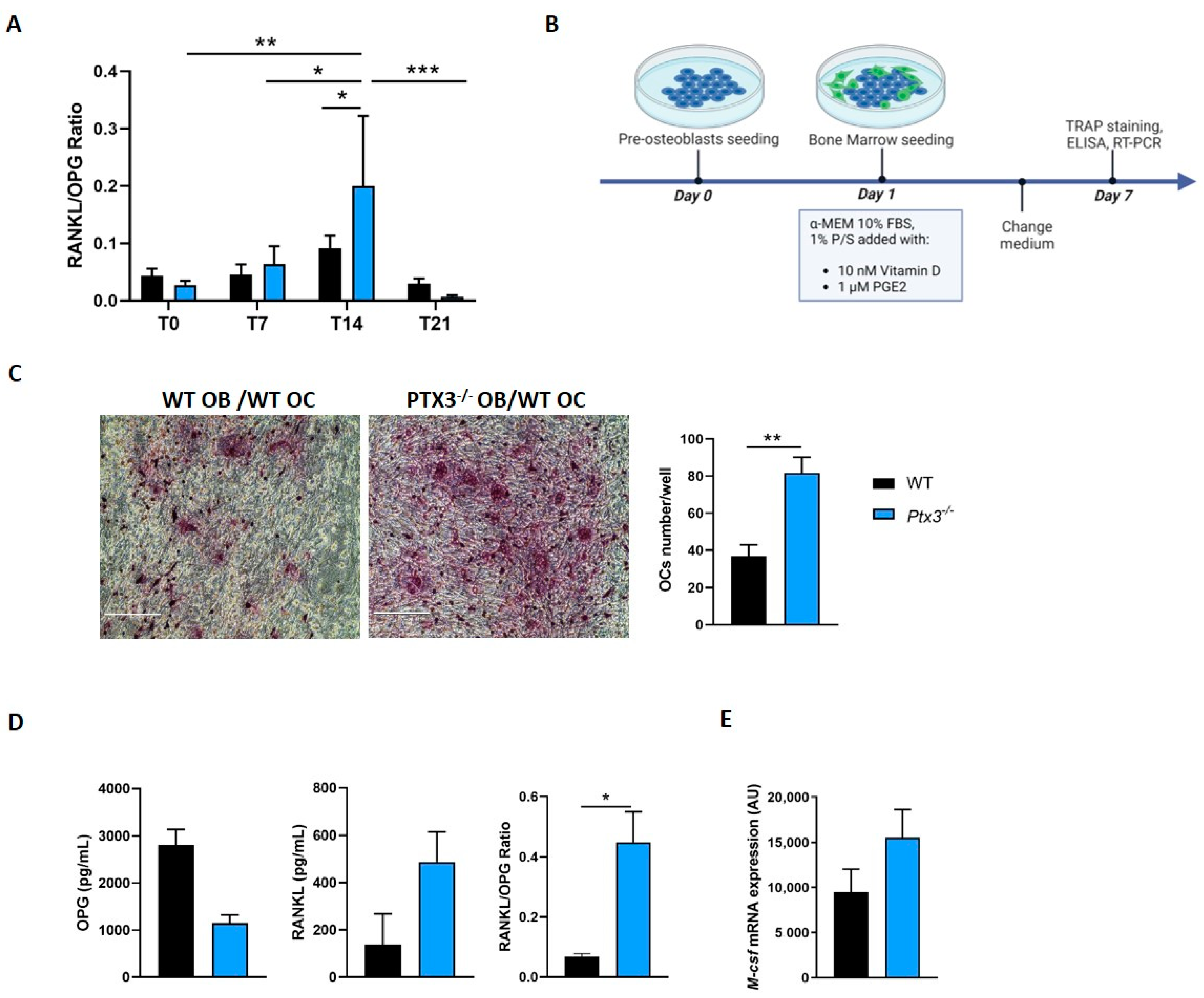 Ijms 24 16648 g002 Ijms 24 16648 g002