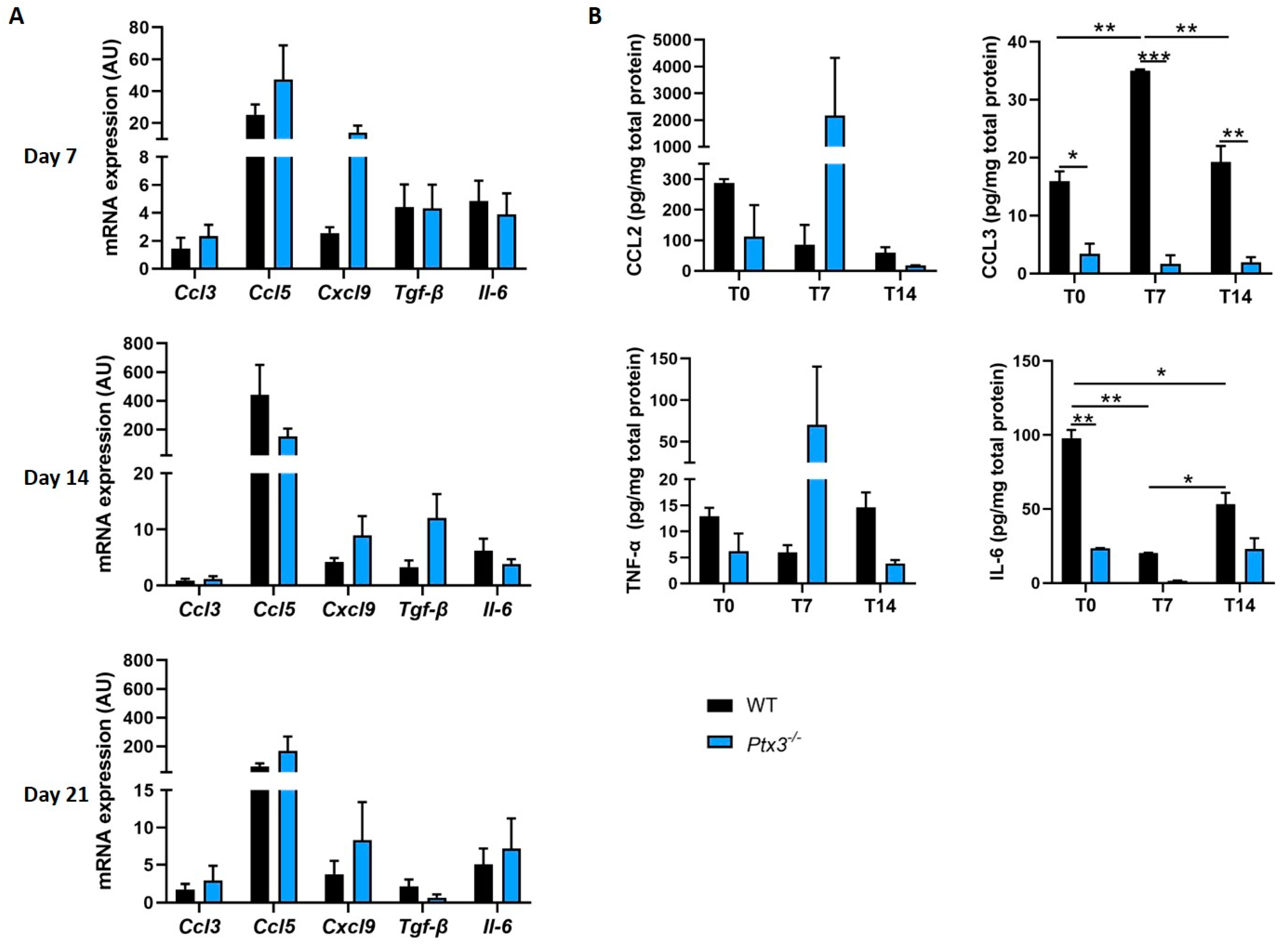 Ijms 24 16648 g004 Ijms 24 16648 g004