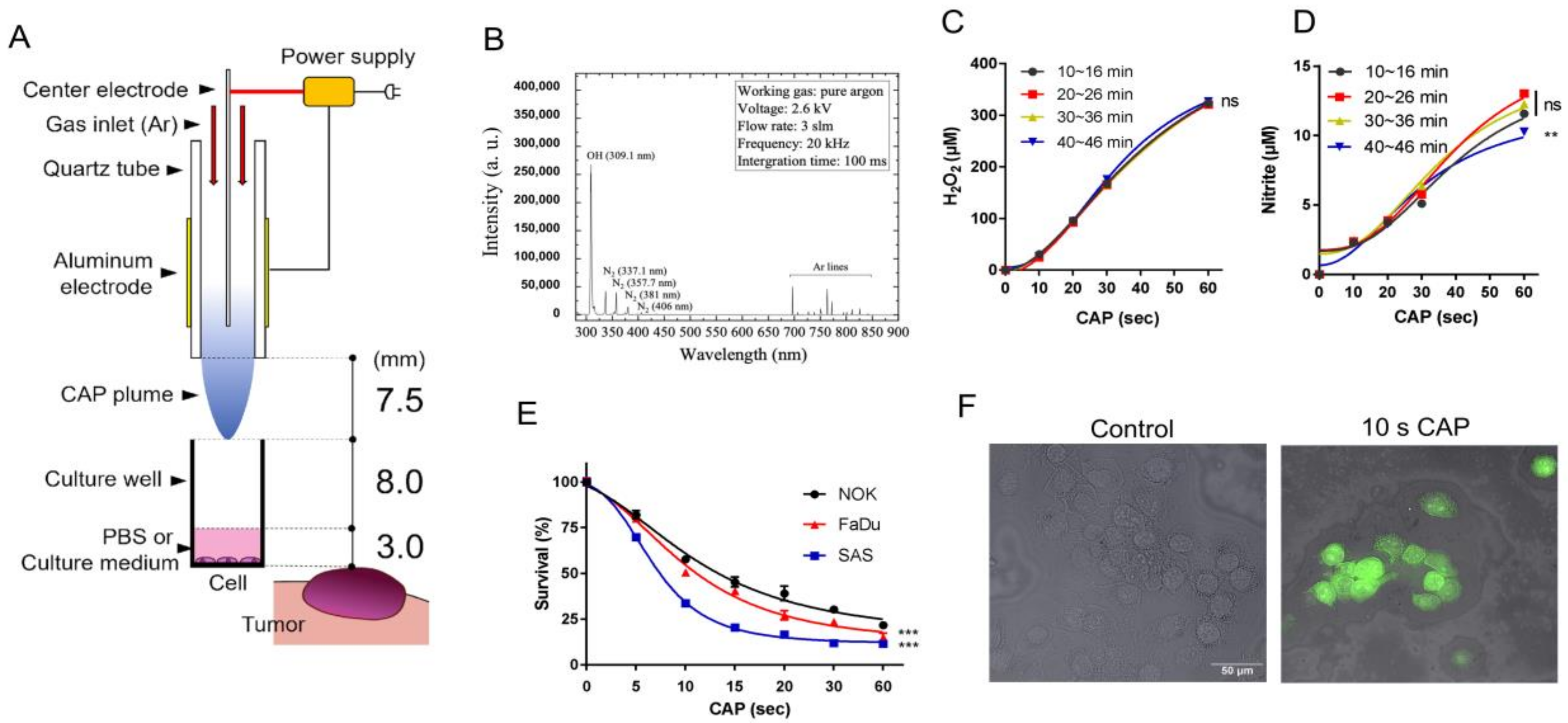 Ijms 24 16662 g001 Ijms 24 16662 g001