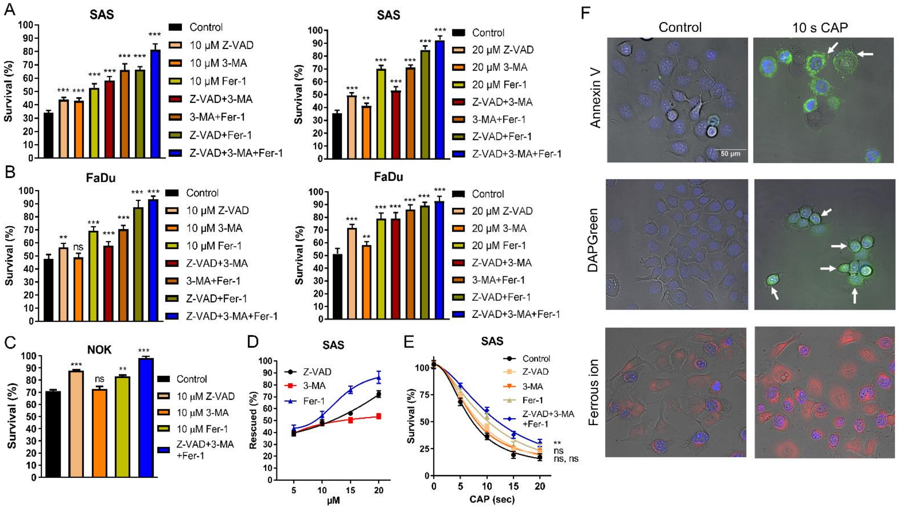 Ijms 24 16662 g002 Ijms 24 16662 g002
