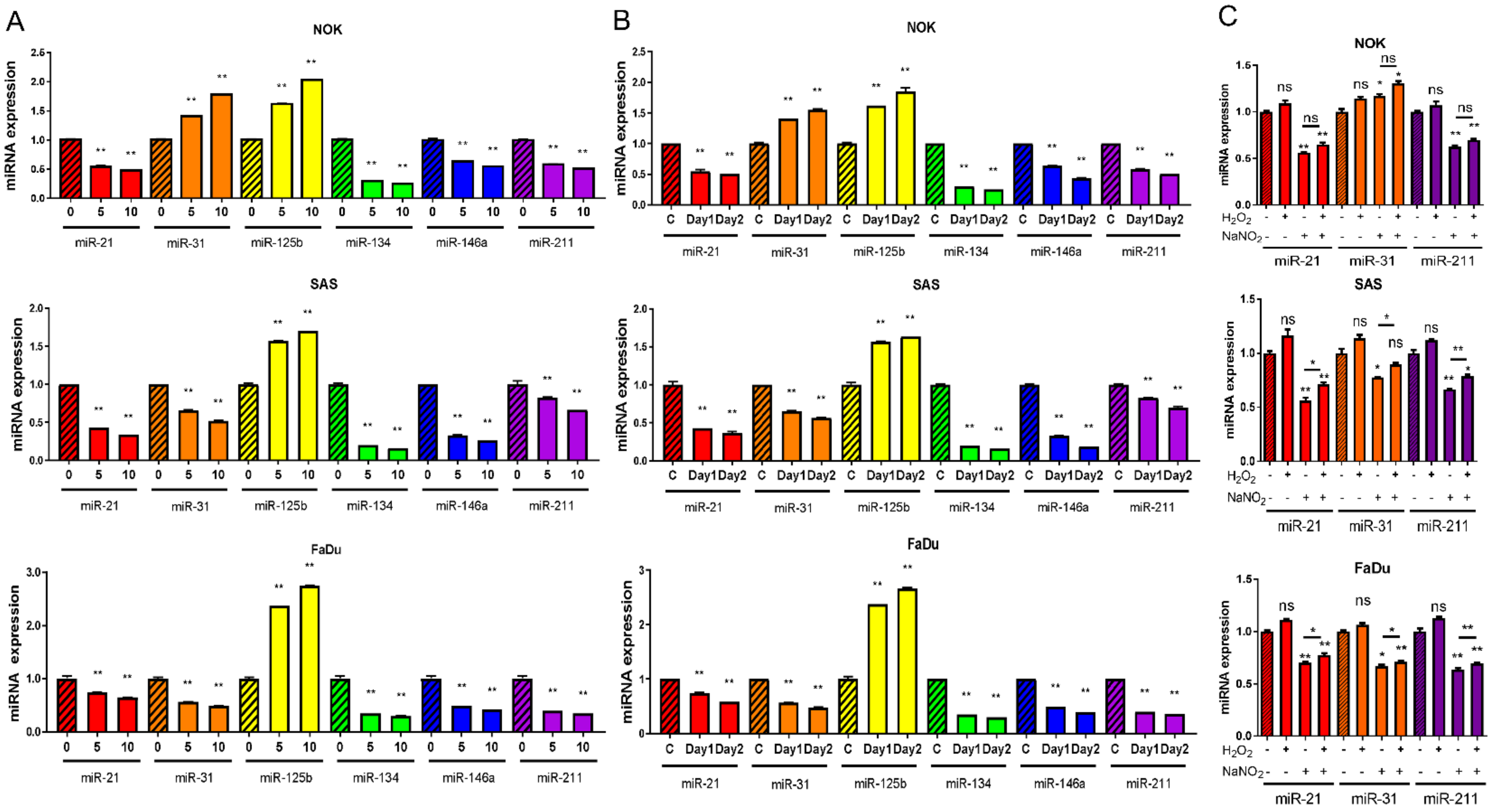 Ijms 24 16662 g003 Ijms 24 16662 g003