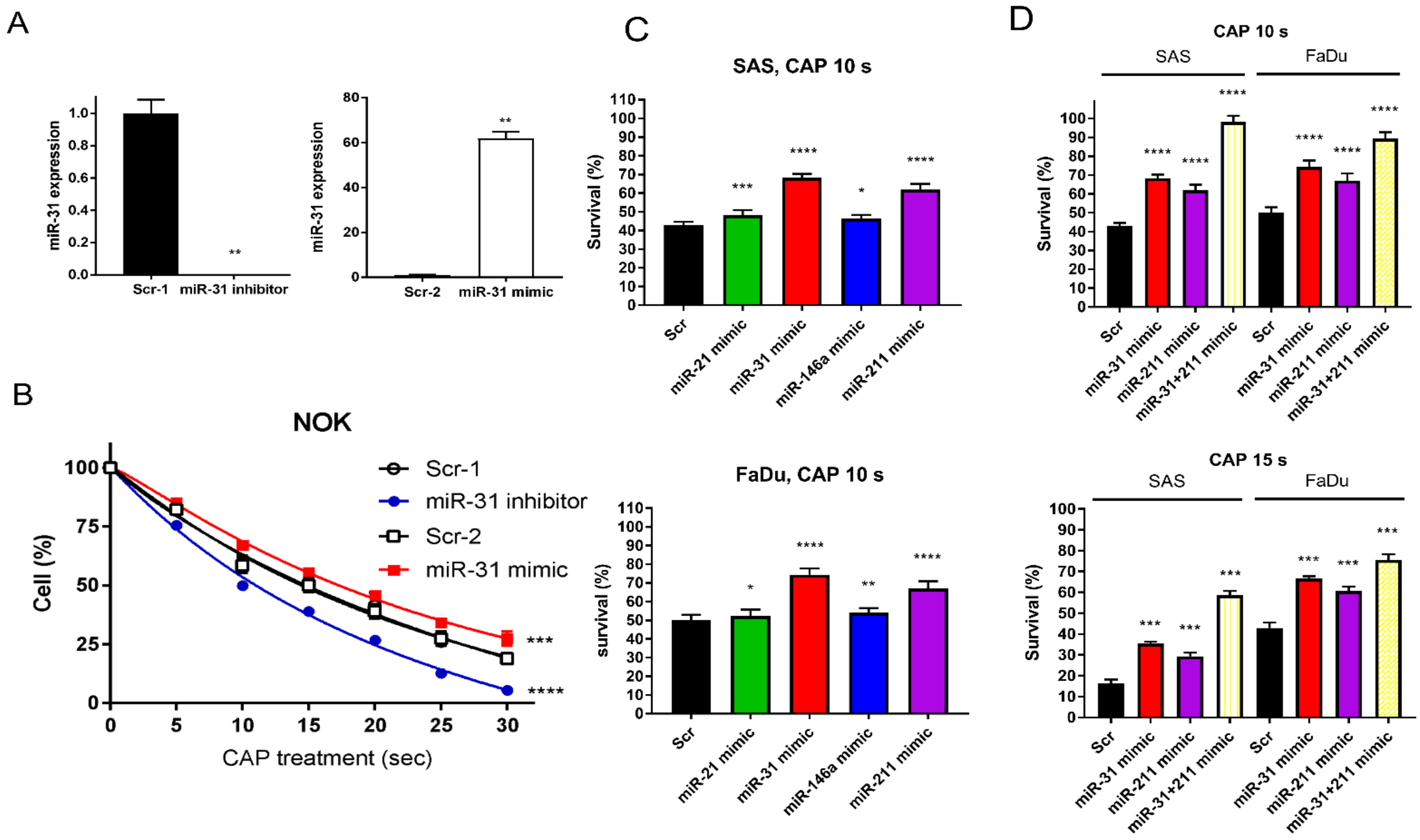 Ijms 24 16662 g004 Ijms 24 16662 g004