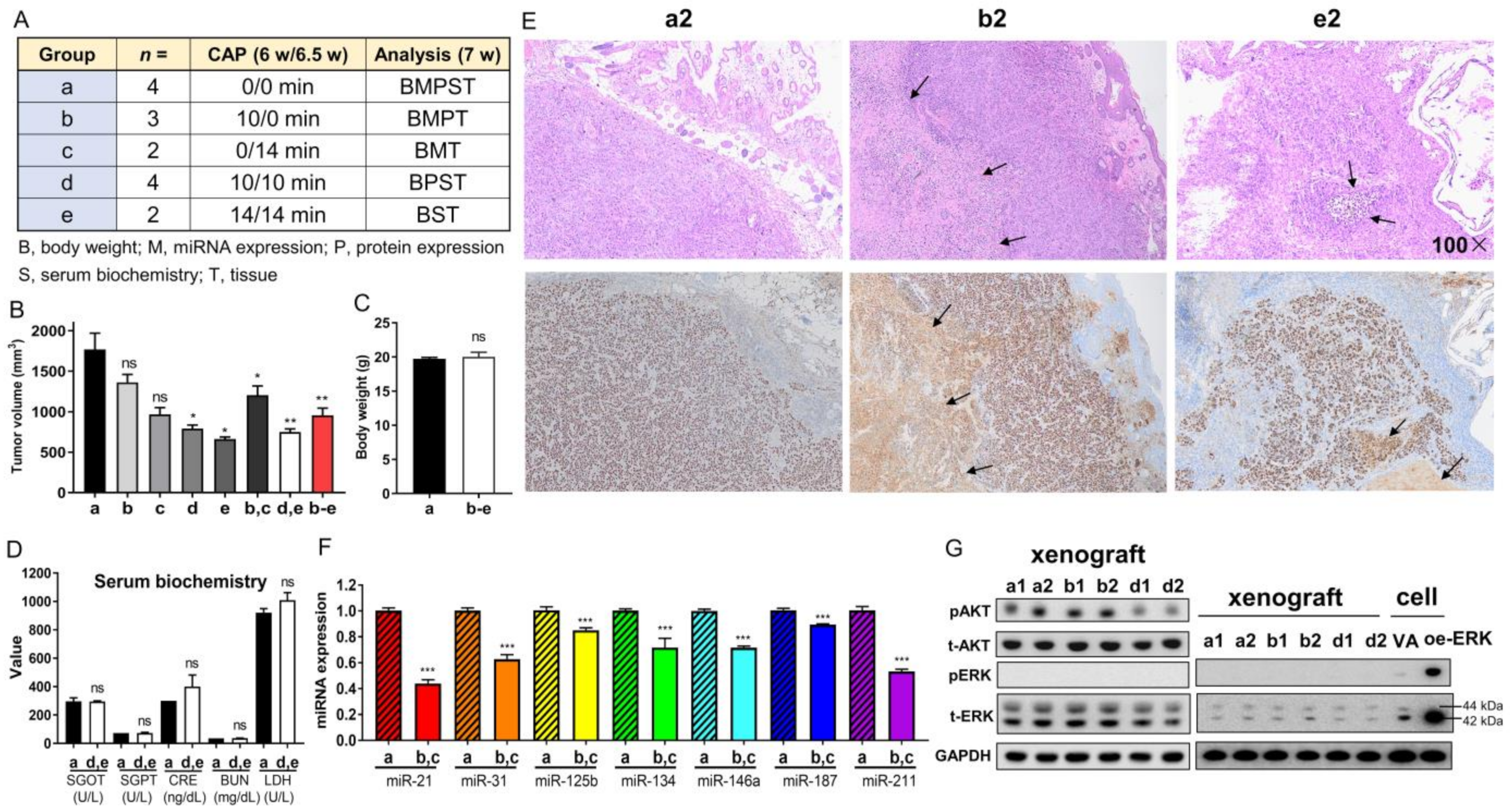 Ijms 24 16662 g006 Ijms 24 16662 g006