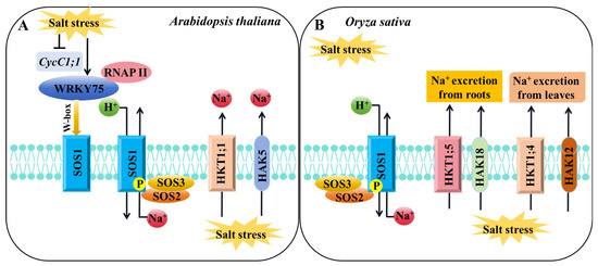 その他 salt Effect of wall materials on physicochemical properties and