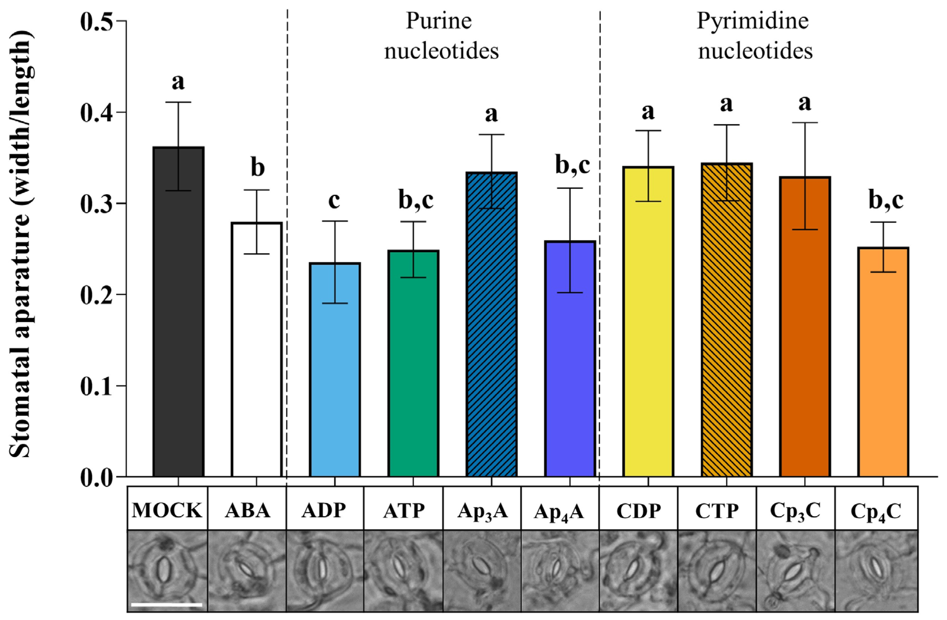 Ijms 24 16688 g001 Ijms 24 16688 g001