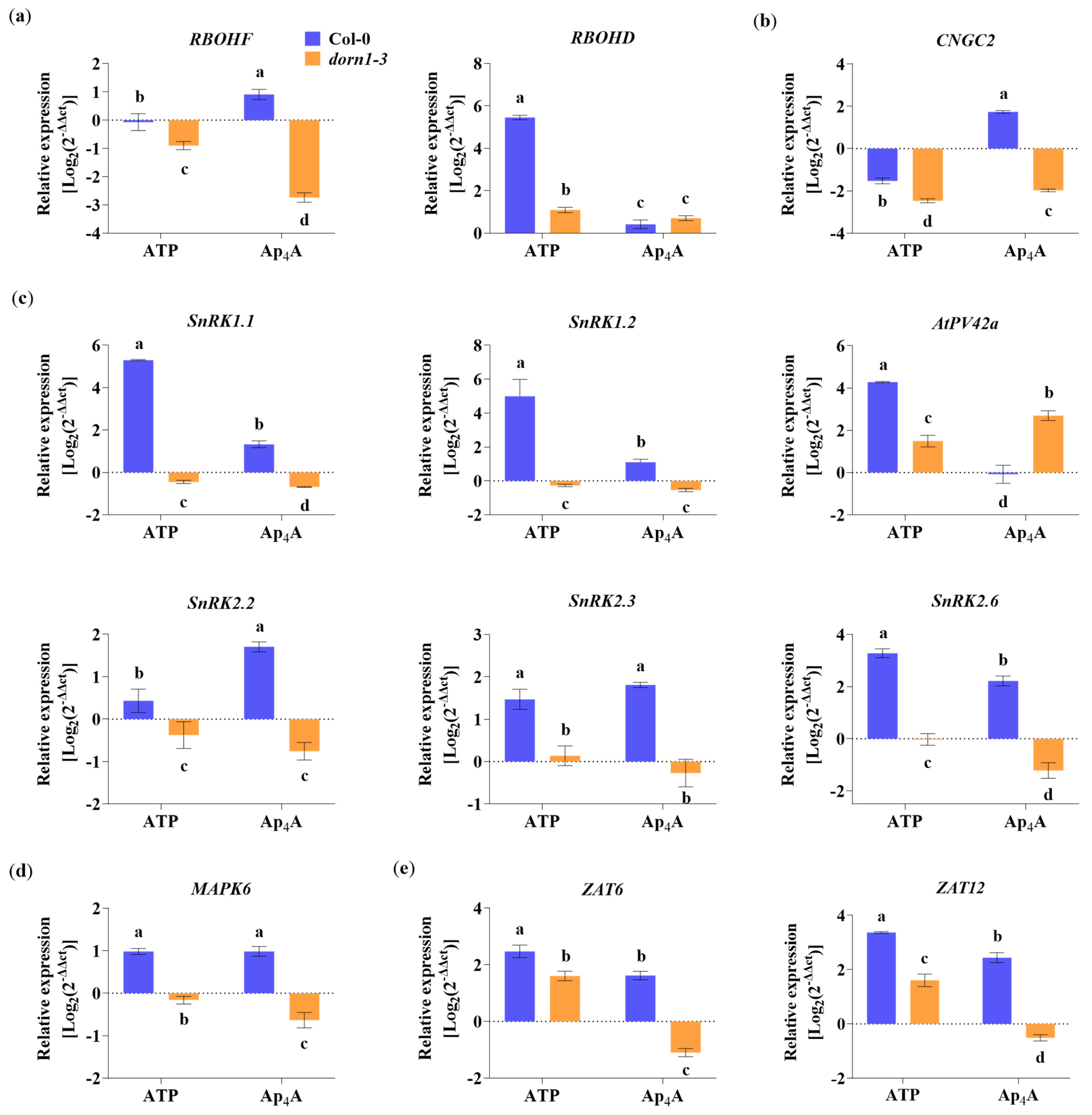 Ijms 24 16688 g005 Ijms 24 16688 g005