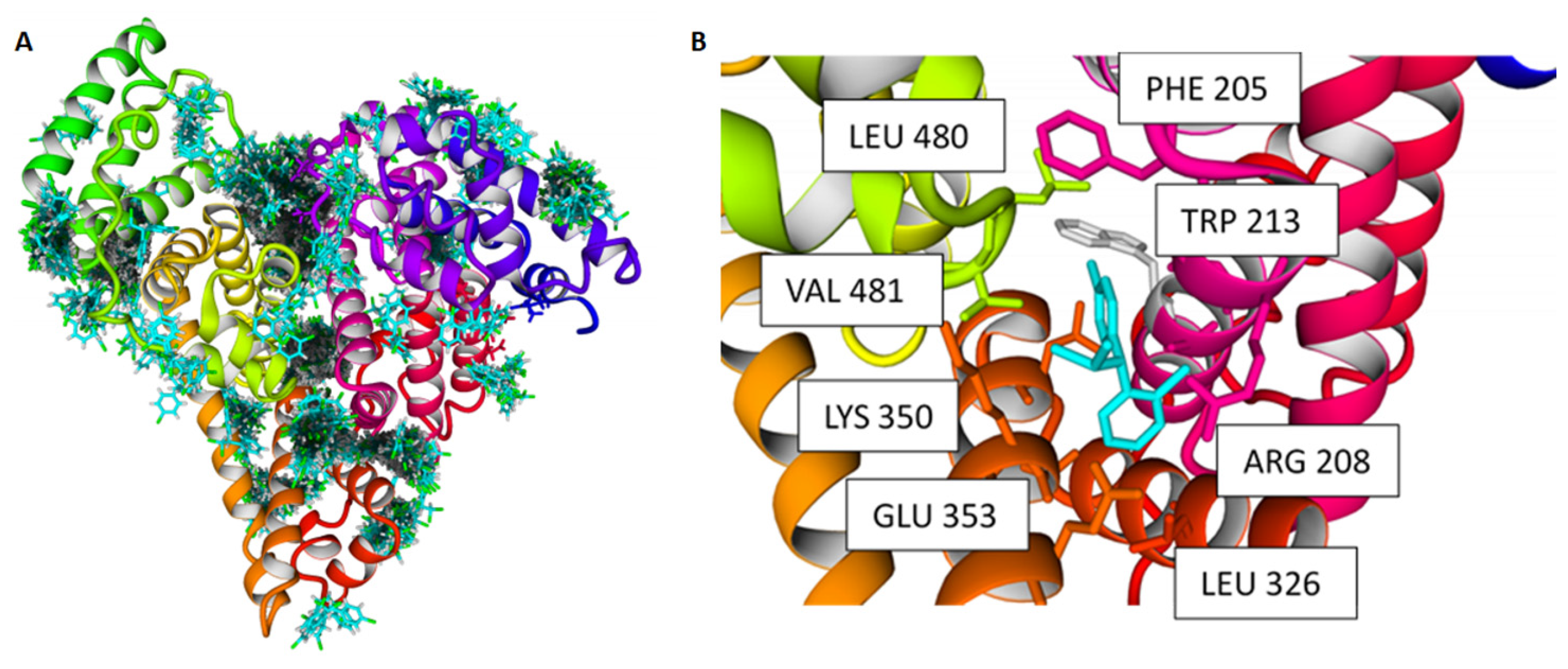 Ijms 24 16701 g004 Ijms 24 16701 g004