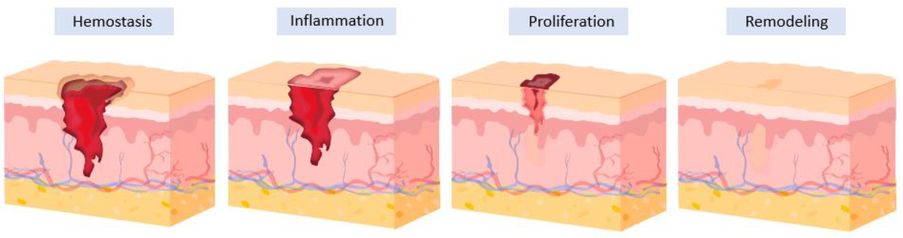 Holistic Skin Healing for Aging Skin Without Creams