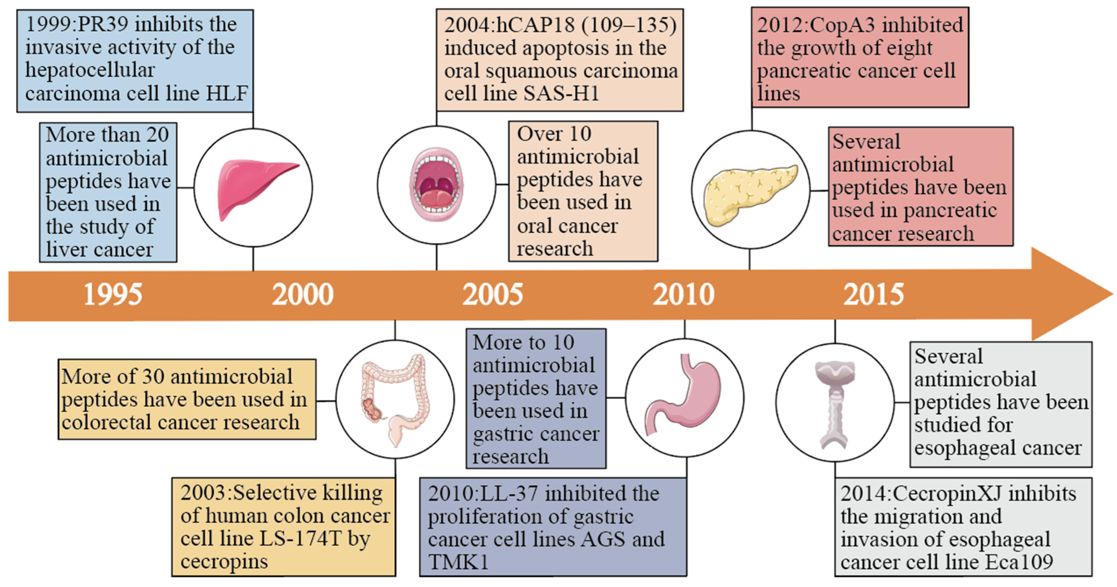 Host defense peptides combined with MTA extract increase the