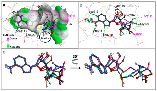 SAM and SAH Analysis Service - Creative Proteomics